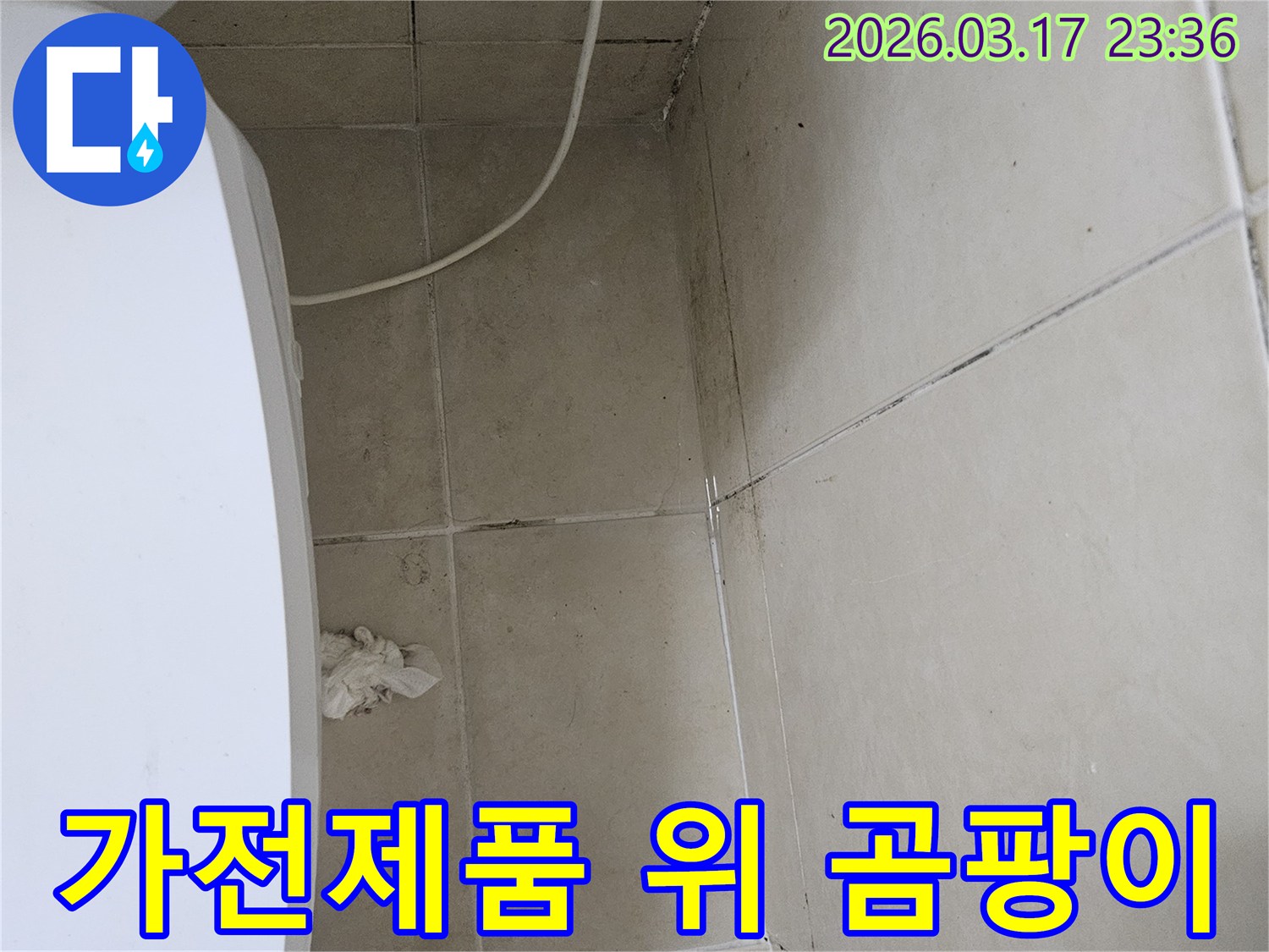이-이미지는-하얀-가전제품-바로-위쪽-천장과-벽면에-발생한-심각한-곰팡이와-오염을-보여주며-이는-누수로-인한-가전제품-피해-가능성을-시사합니다