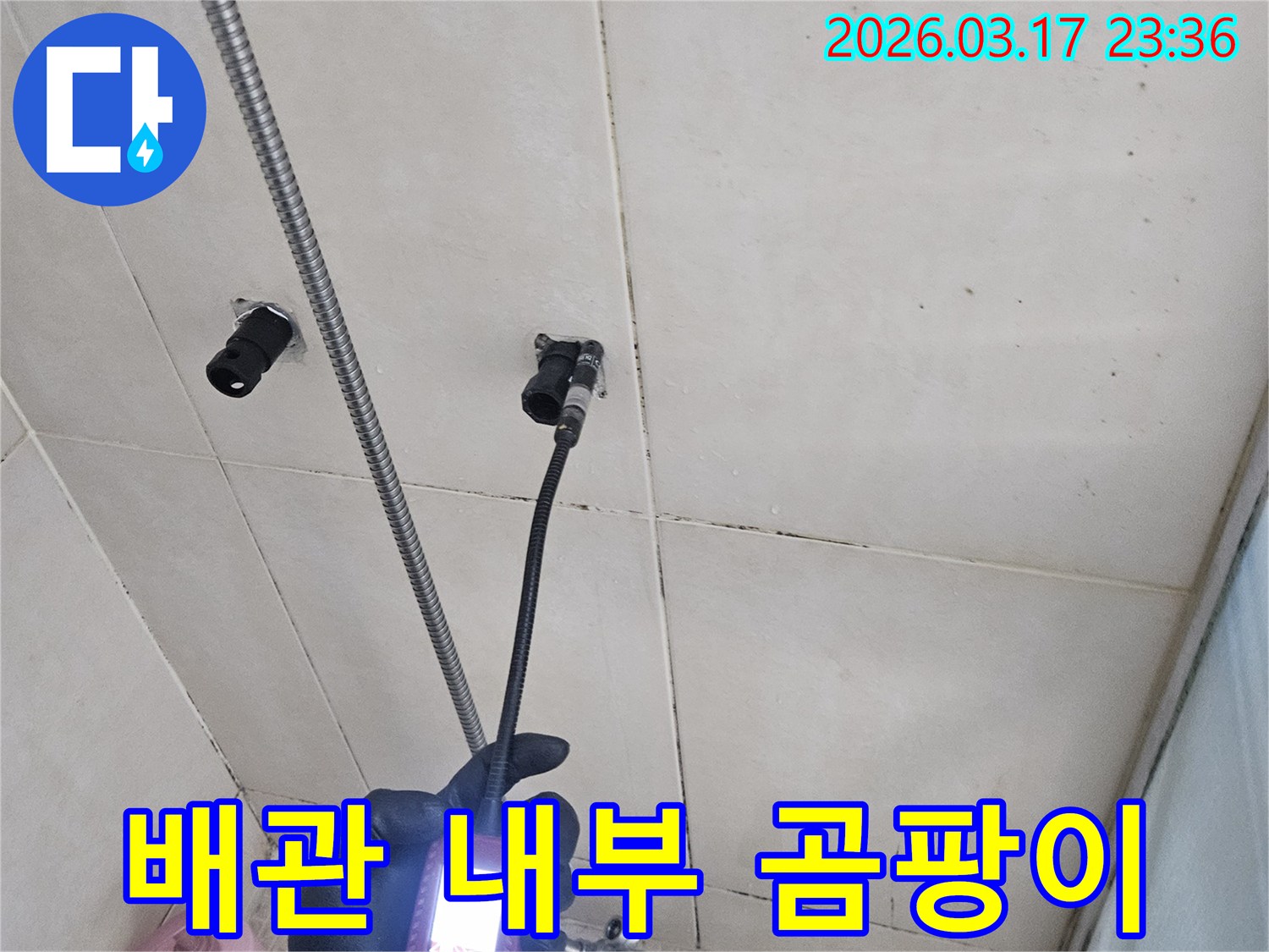 전문-엔지니어가-내시경-카메라를-사용하여-배관-내부의-곰팡이-증식-여부를-확인하고-위생-상태를-진단하는-모습입니다