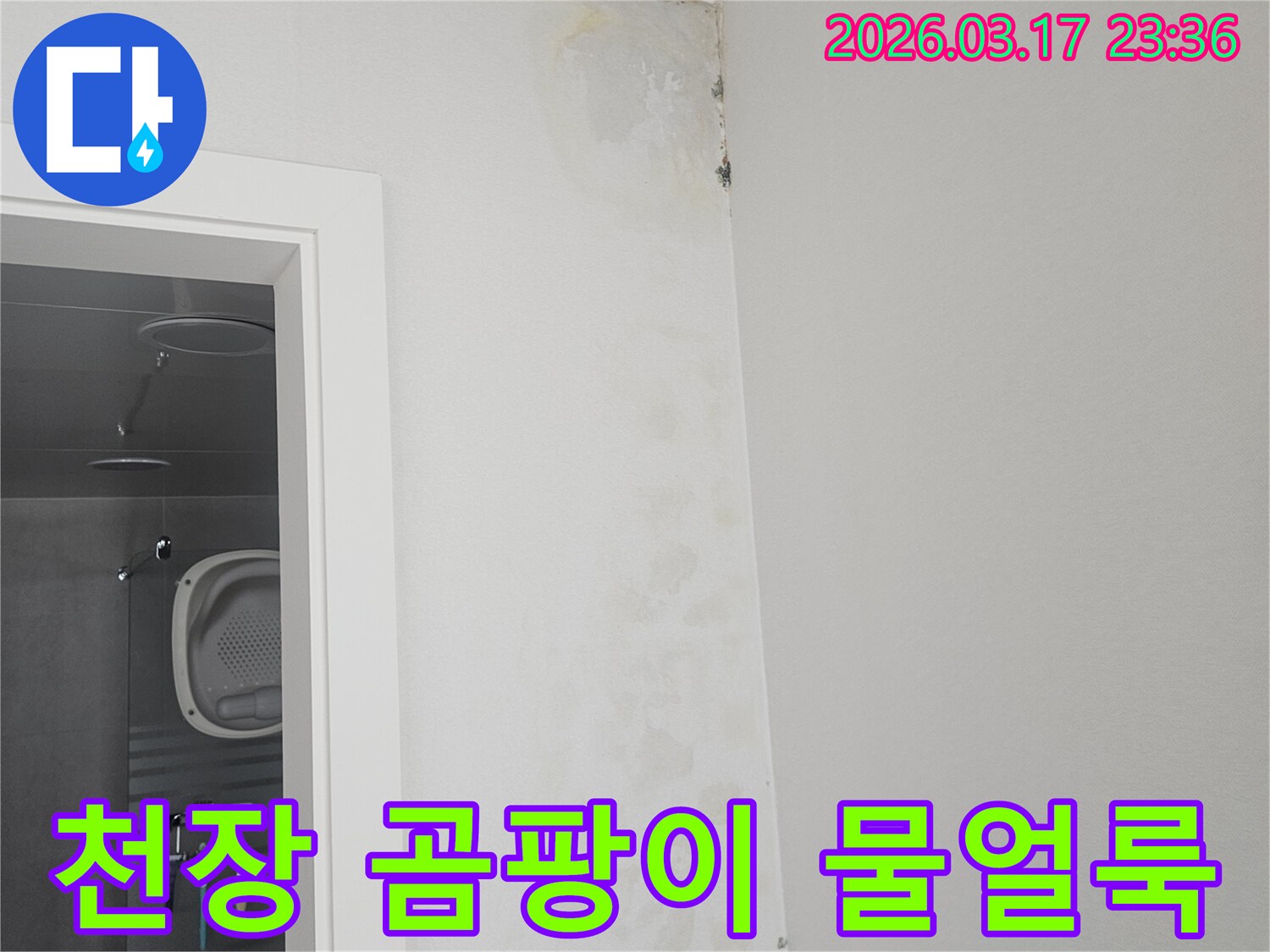 천장-모서리에-발생한-곰팡이와-물-얼룩-확인