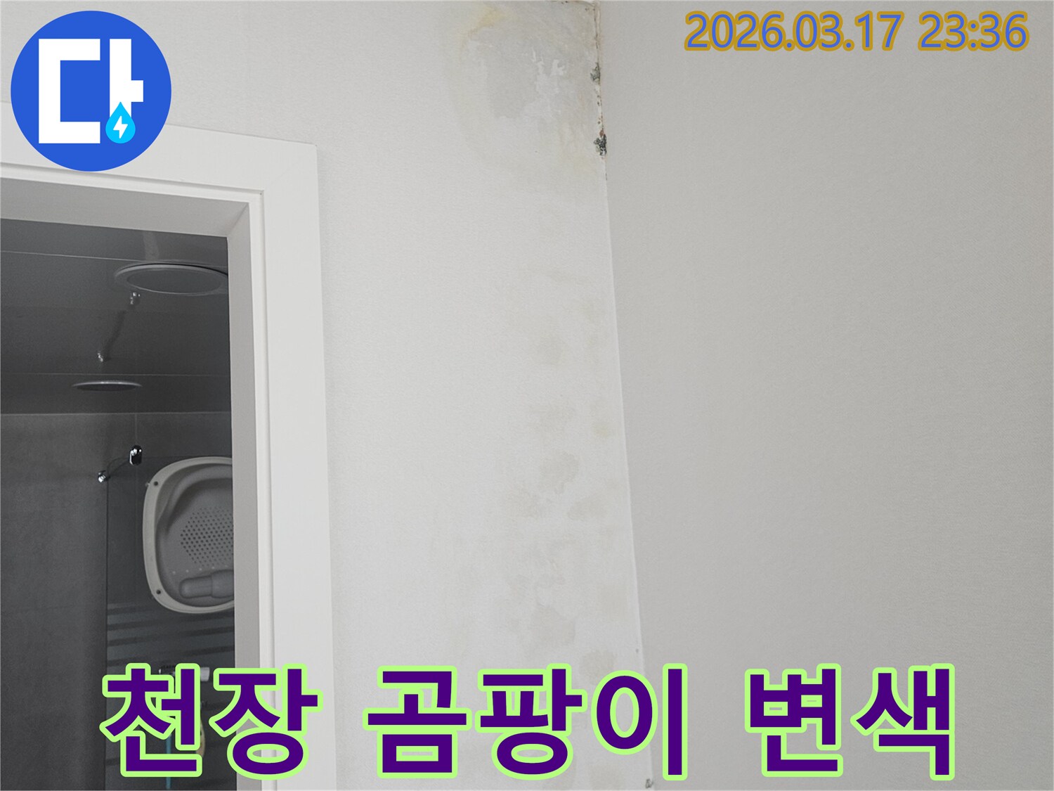 천장-모서리에-발생한-곰팡이와-변색-현상-확인