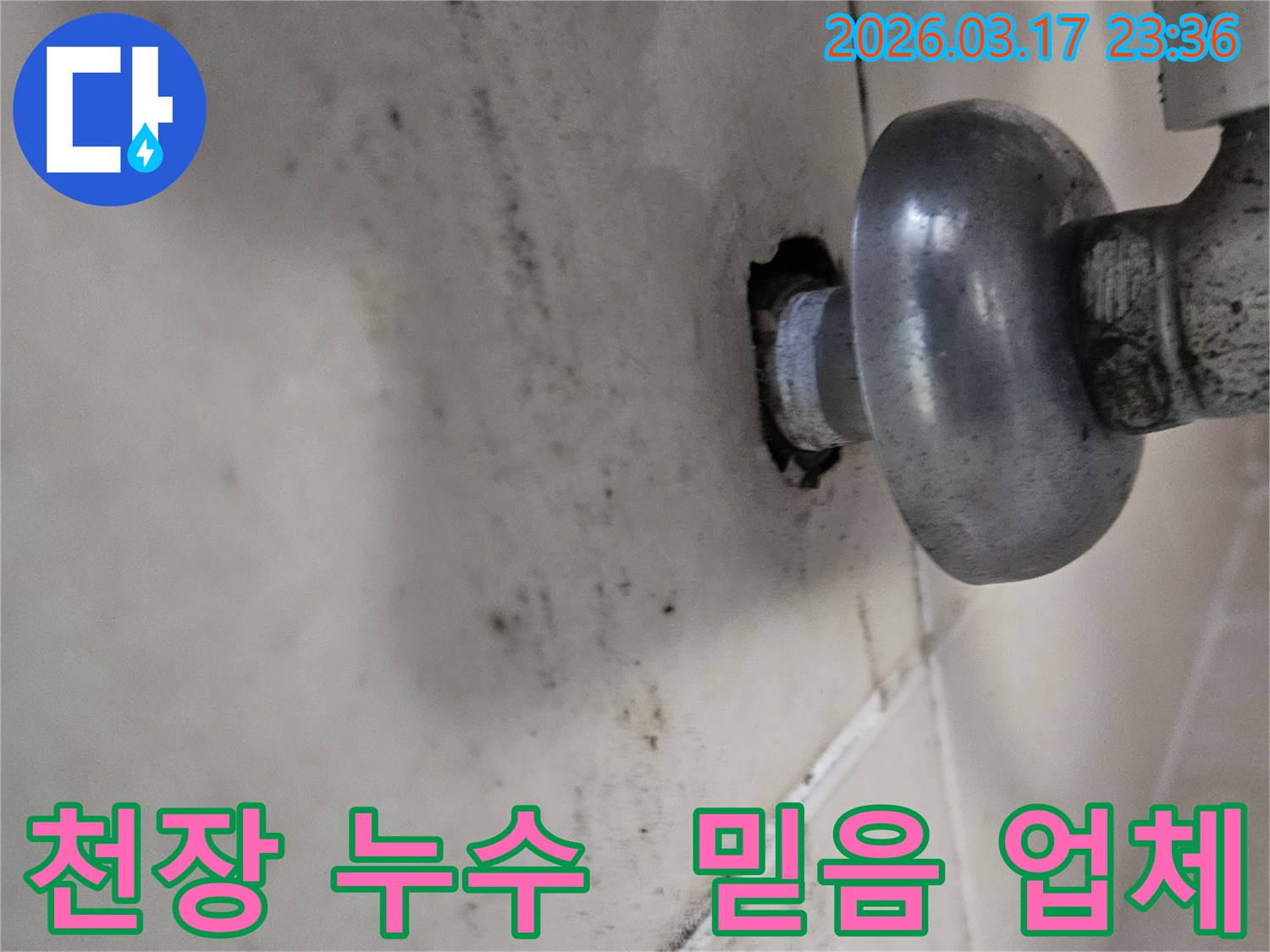 천장-배관에서-발생한-누수로-인해-오염된-벽면과-믿을-수-있는-업체가-필요한-배관-모습