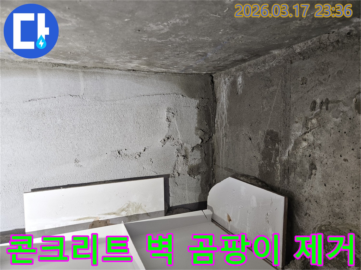 콘크리트 벽면에 심하게 번진 곰팡이-누수로 인한 습기 축적이 원인이며-전문적인 곰팡이 제거와 방수 처리가 시급합니다.