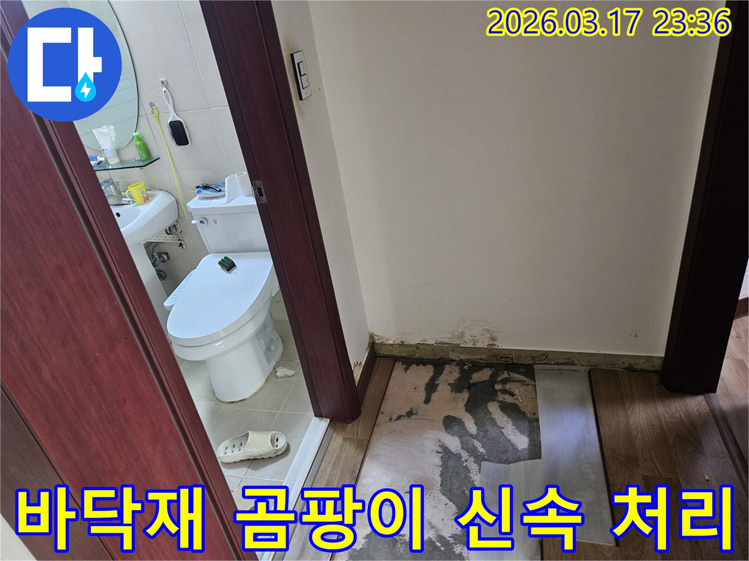 화성-병점 상가의-화장실 입구 벽면 하단에-누수로 인한 곰팡이가-심각하게 발생하여-바닥재가 제거된-현장 사진입니다