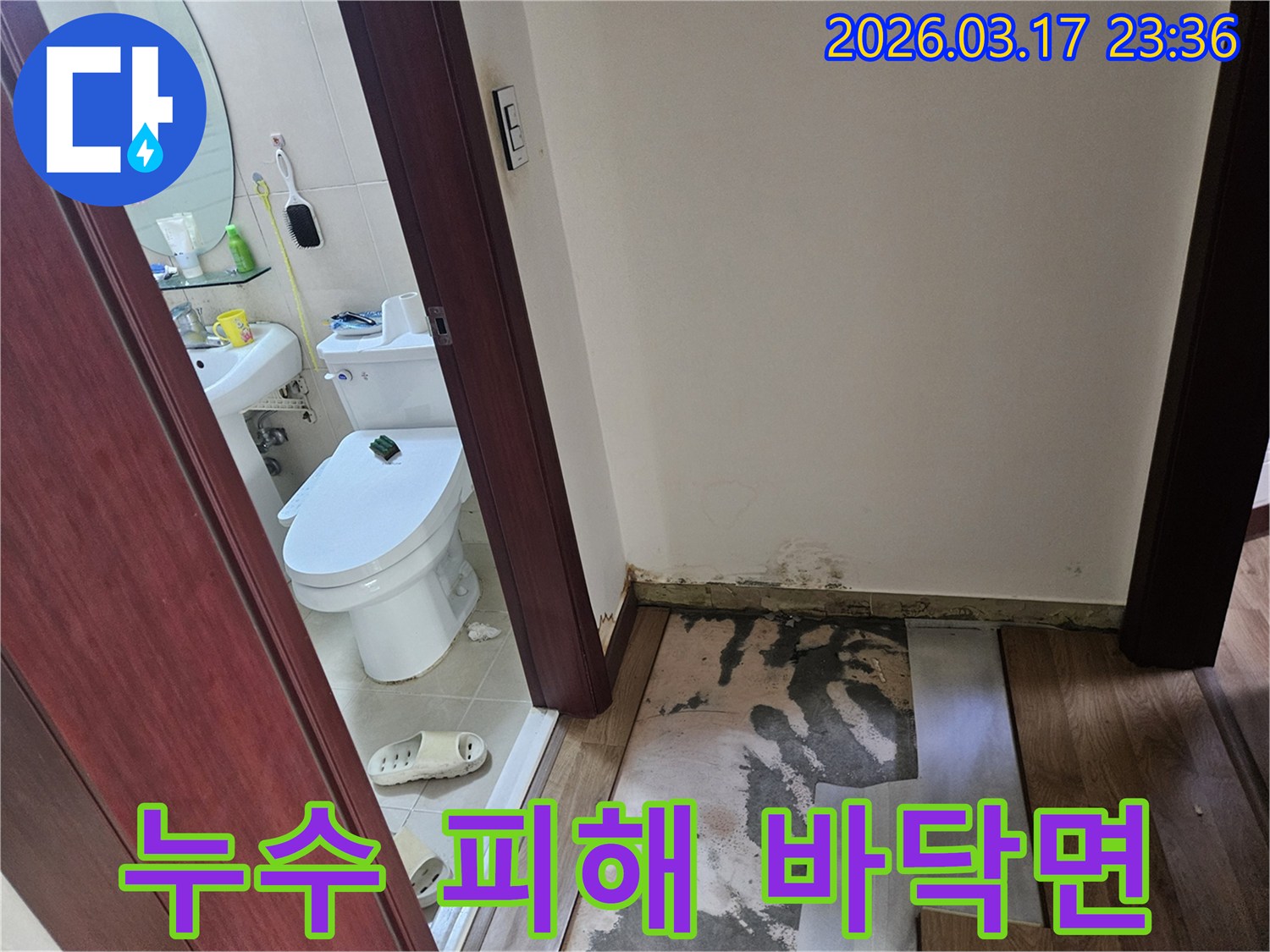 화성 병점 지역-빌라 화장실 입구의-누수로 인해-바닥재가 제거되고-벽면에 곰팡이가 발생한-현장 모습입니다