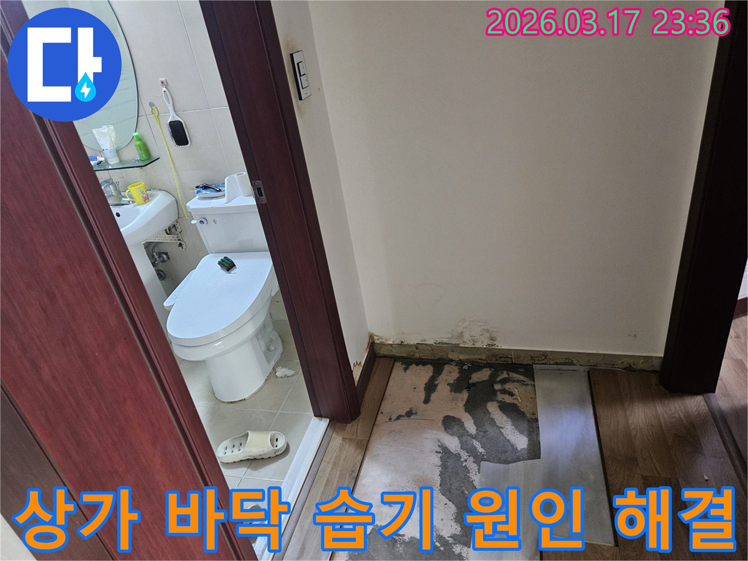 화성 병점 지역-상가 화장실 문턱 주변에-누수로 인해-바닥재가 손상되고-곰팡이가 발생한-현장 사진입니다