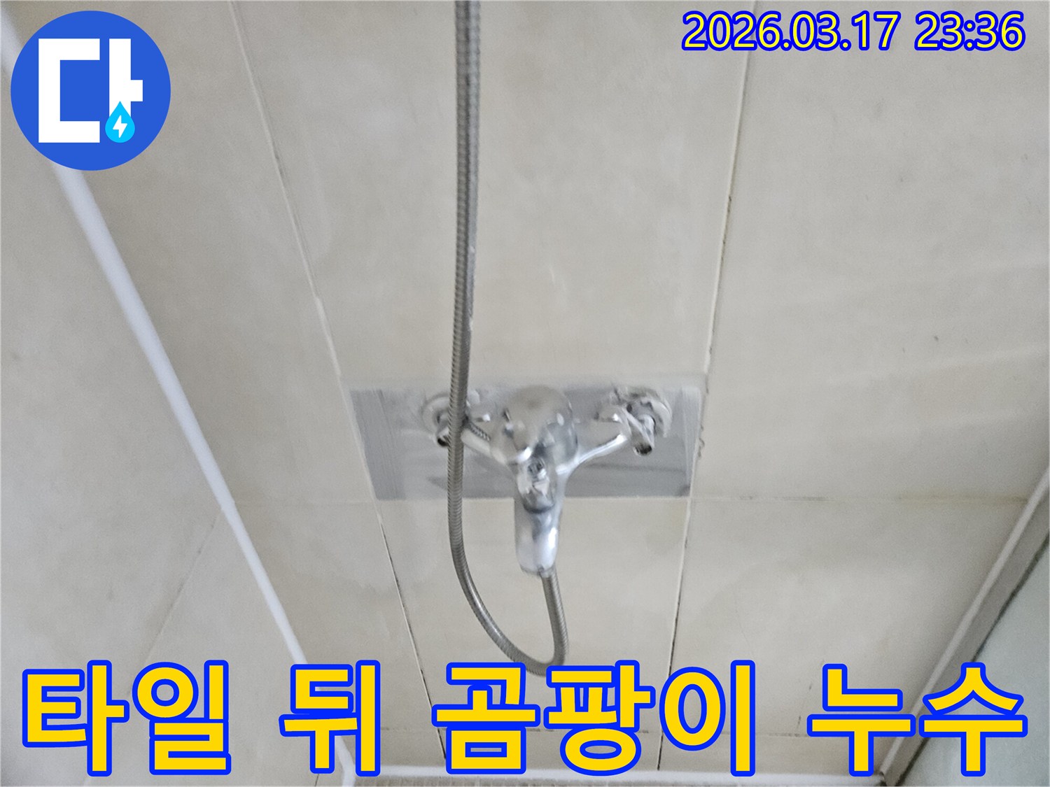 화성-병점구-욕실에서-샤워-수전-누수로-인한-타일-뒤-곰팡이-발생-부위를-확인하고-탐지하는-모습을-담은-이미지입니다