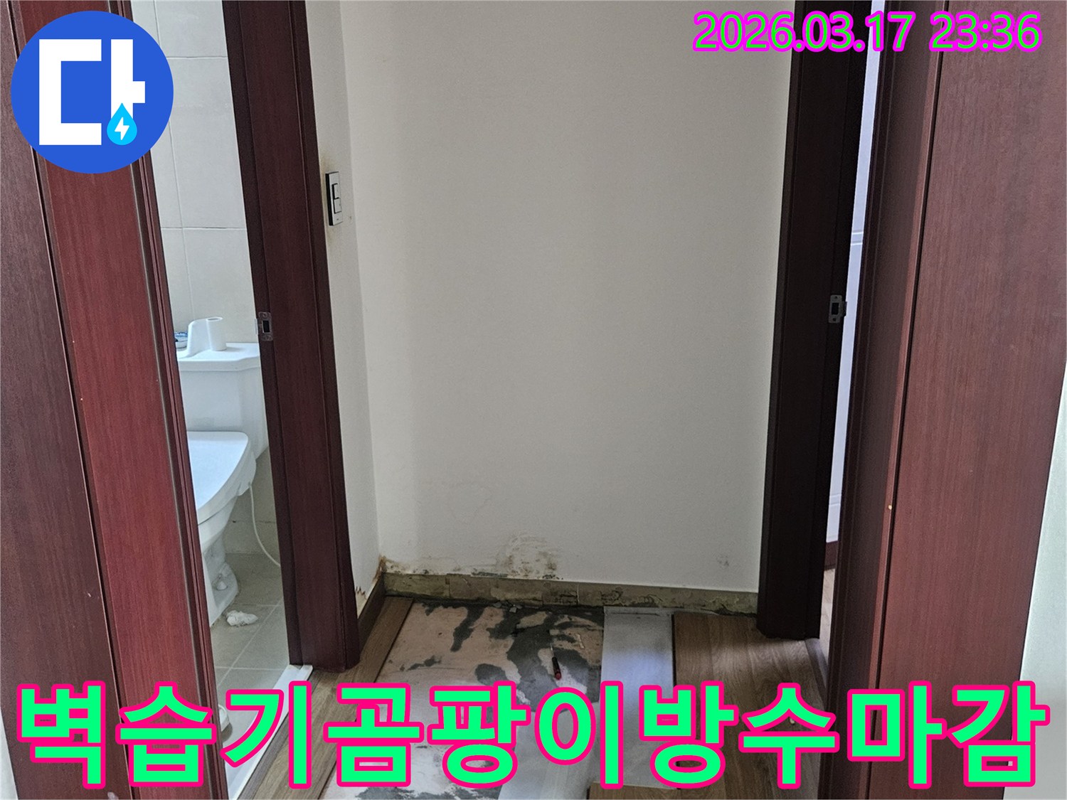 화성시 누수 현장에서-욕실 벽면 습기와 곰팡이를 제거하고-방수층을 전면 재시공한 후 마감하기 위해-벽을 개방한 모습입니다.