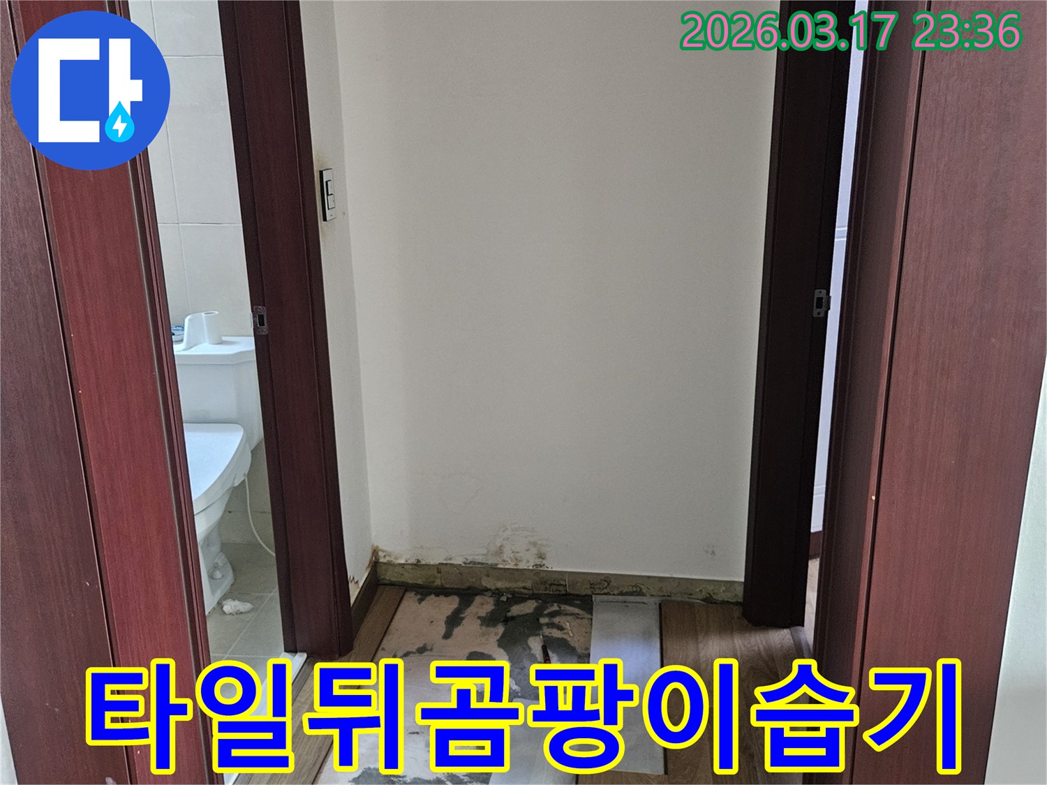 화성시 빌라 욕실 누수 현장에서-타일 뒤 숨겨진 곰팡이와 습기를-제거하기 위해 벽면을 개방한 모습입니다.