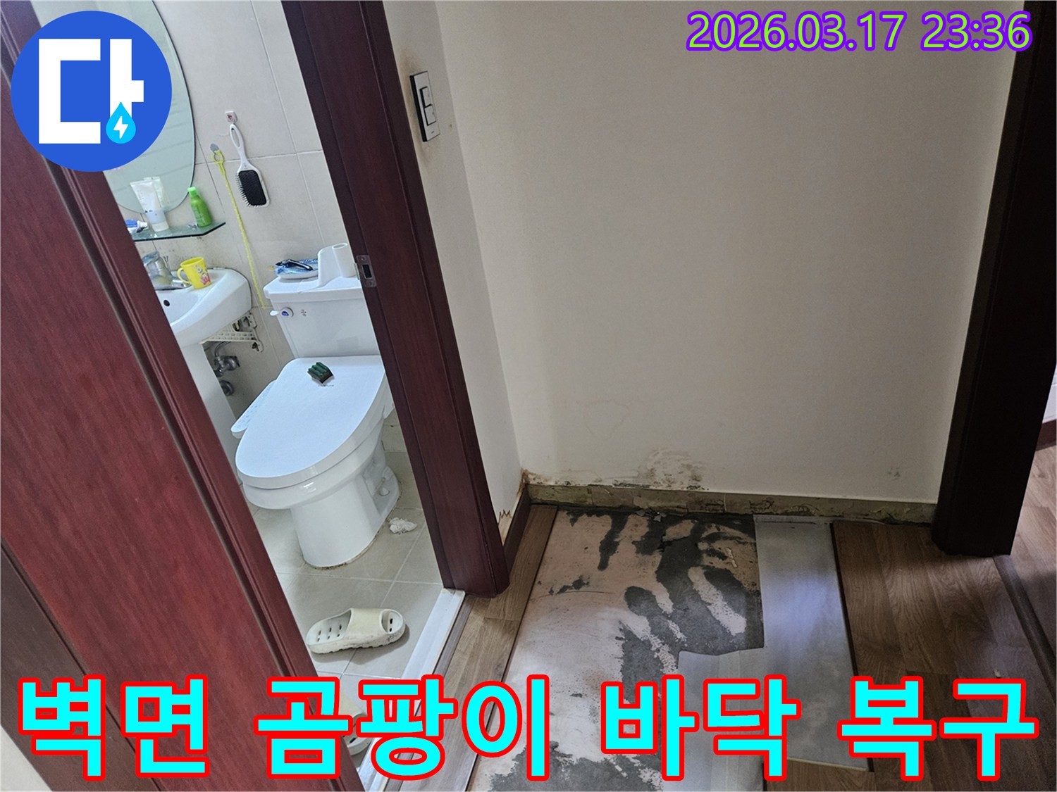 화장실 입구 벽면 하단에-누수로 인한-심각한 곰팡이가 발생하여-바닥재가 제거된-현장 사진입니다