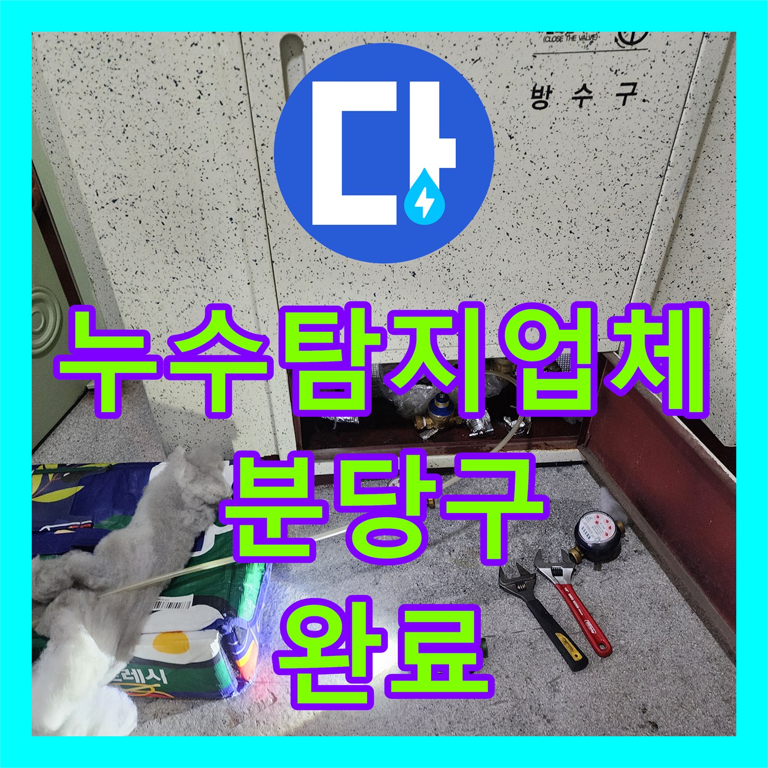 누수탐지업체 아파트 천장 누수 흔적을 추적하여 배관 결함을 해결한 사례 성남시 분당구