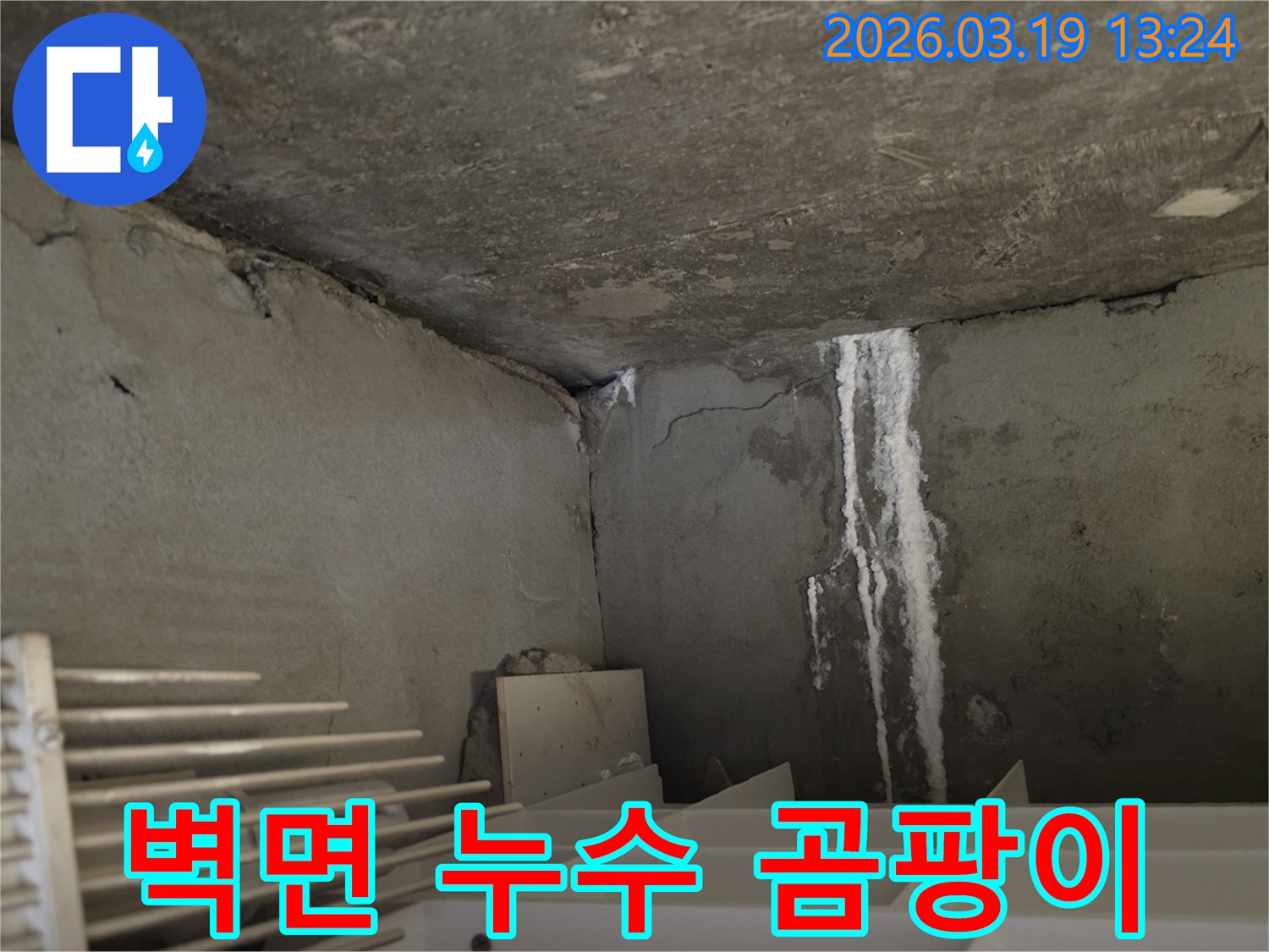 아파트-콘크리트 벽면에서-발견된-누수와-곰팡이 흔적