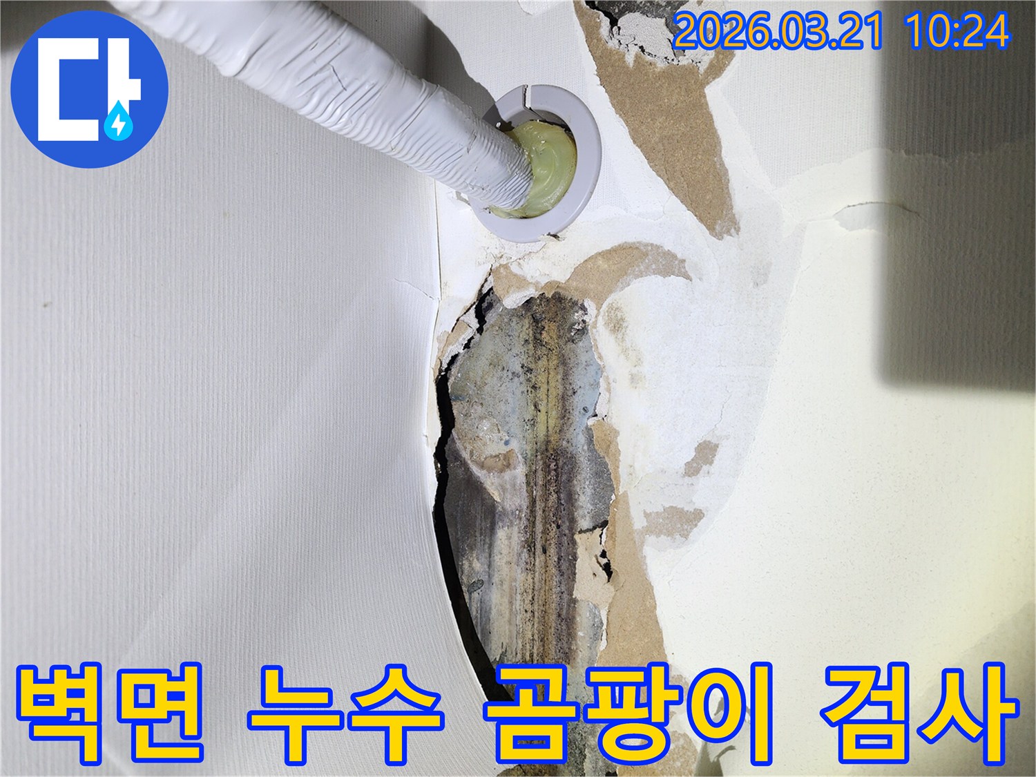 누수로-인해-벽지가-손상되고-곰팡이가-피어있는-빌라-벽면에-누수-탐지-장비가-삽입된-모습