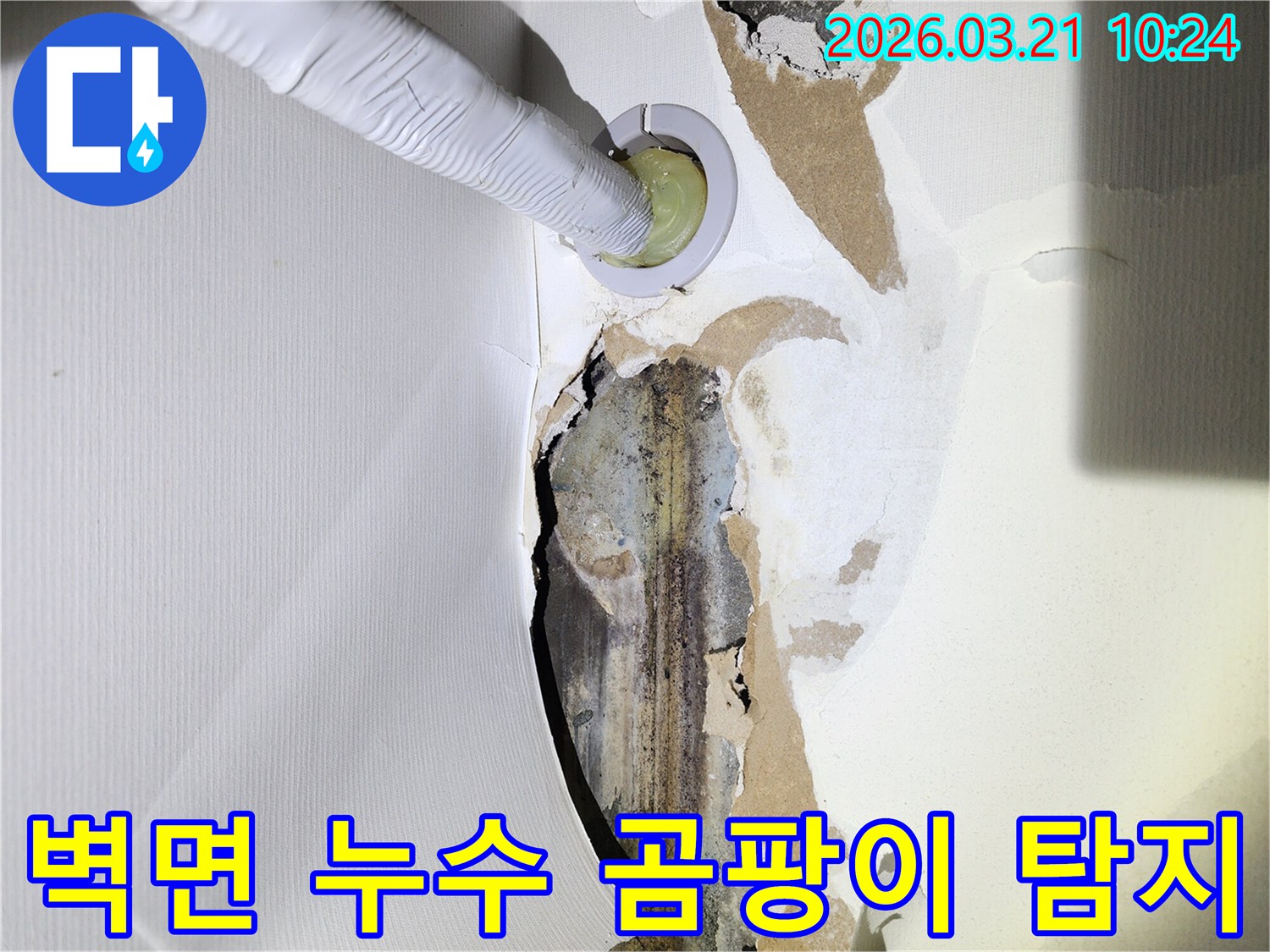 누수로-인해-벽지가-손상되고-곰팡이가-피어있는-주택-벽면에-누수-탐지-장비가-삽입된-모습