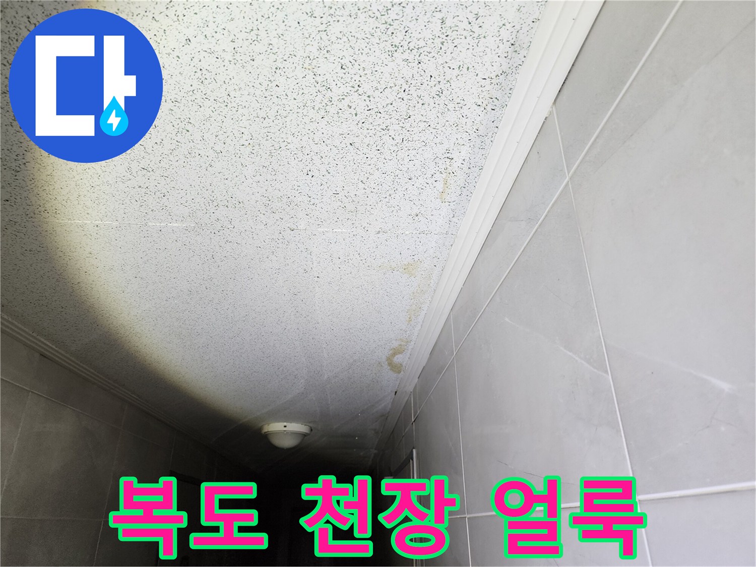 성동구 복도 천장의 물샘 흔적과 누수 얼룩 상태
