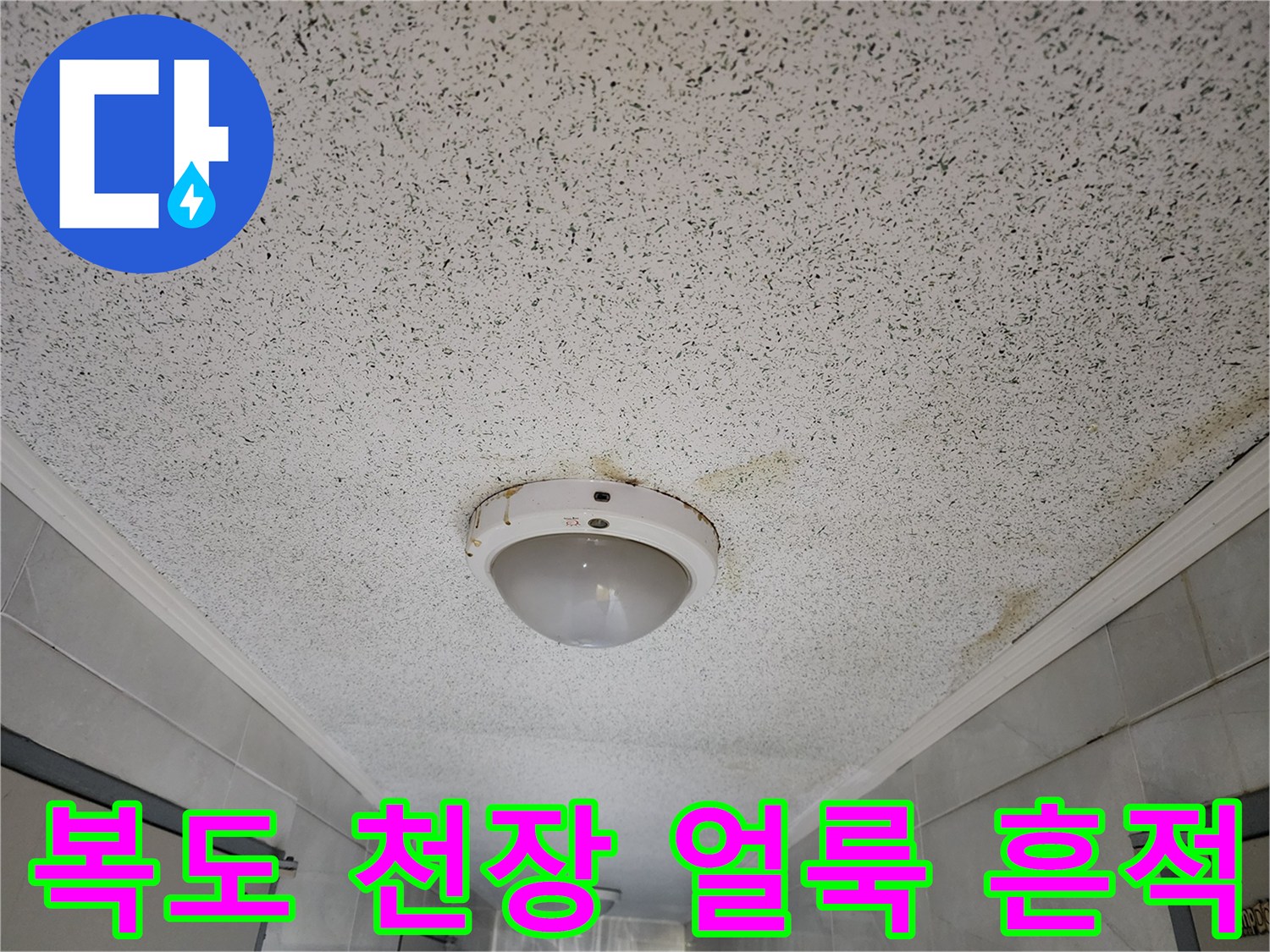 성동구 사근동-복도 천장 조명 주변의 누수 흔적과 얼룩 상태