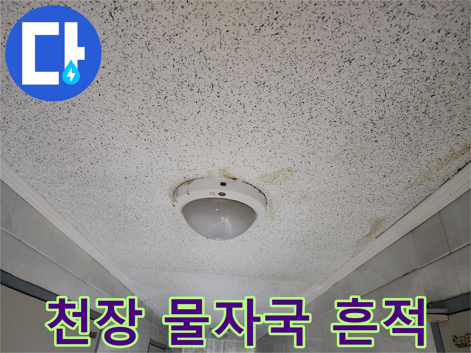 성동구 사근*동 복도 천장의 누수 얼룩 상태