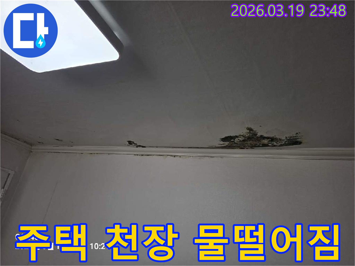 천장-모서리-부분에-물이-새어-들어-벽지가-젖고-손상된-모습을-보여주는-사진