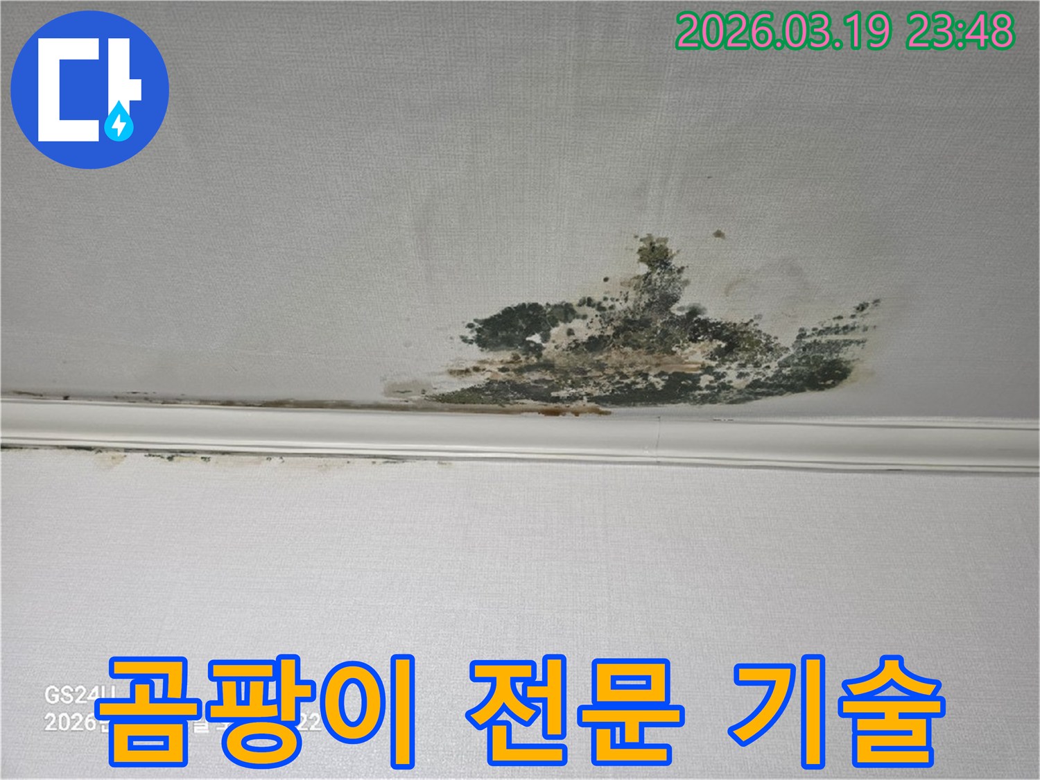 천장-벽지에-발생한-심각한-누수-곰팡이-오염-현장으로-전문-기술을-통한-해결이-필요한-상태