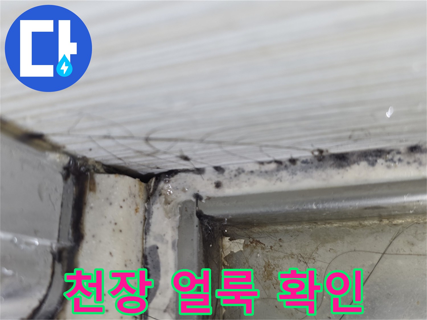 천장-슬라브-표면의-물샘-흔적과-어두운-변색-부위