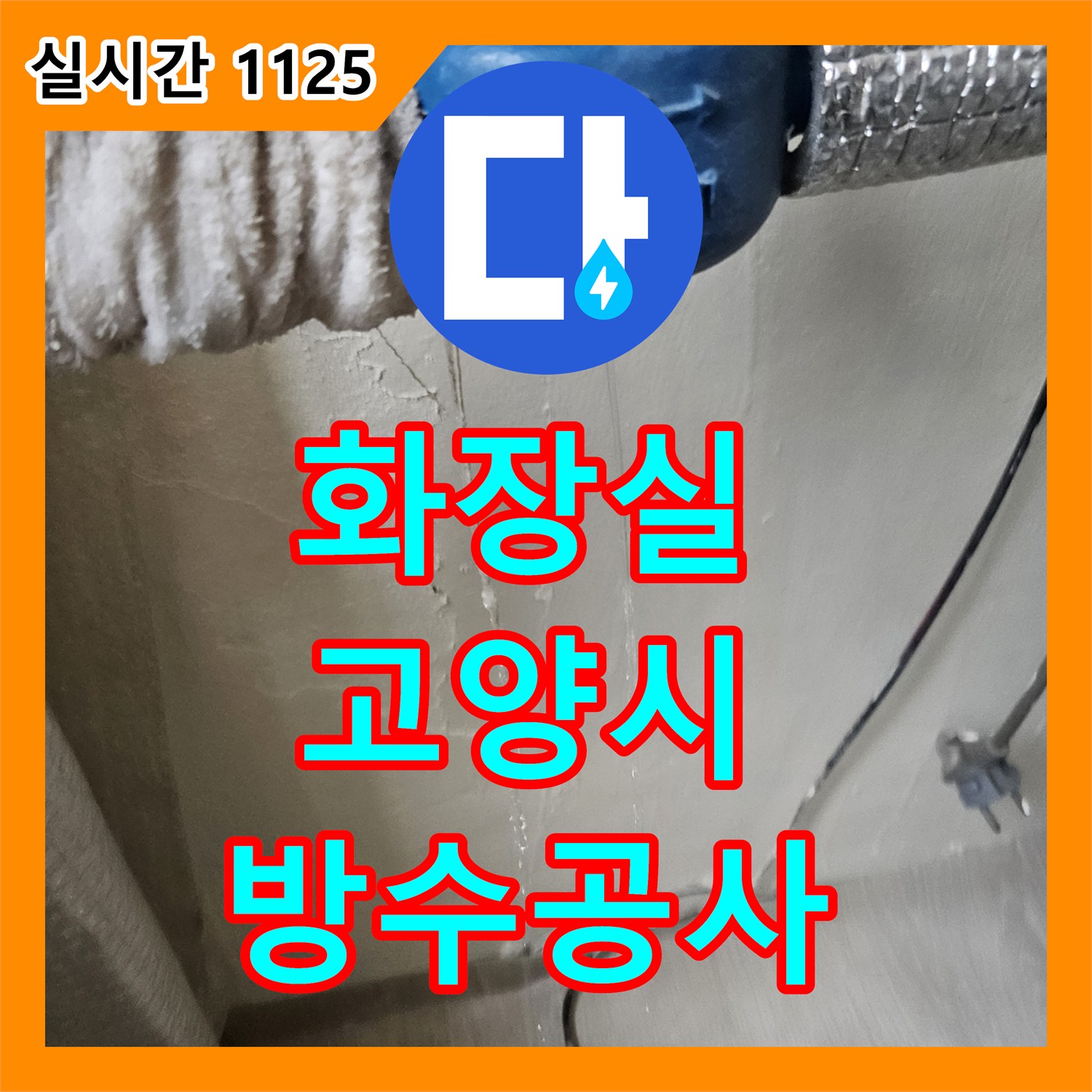 누수탐지 베란다 방수층 불량으로 인한 바닥 물샘과 곰팡이 문제를 정확히 진단하고 해결한 경기 고양시 덕양구 오금동