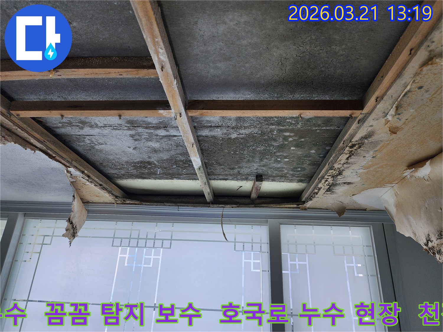 호국로-주택의-천장-누수-현장으로-마감재가-제거된-후-콘크리트-슬래브와-목재-구조물에-물자국과-곰팡이가-보이며-꼼꼼한-탐지와-보수가-필요합니다.