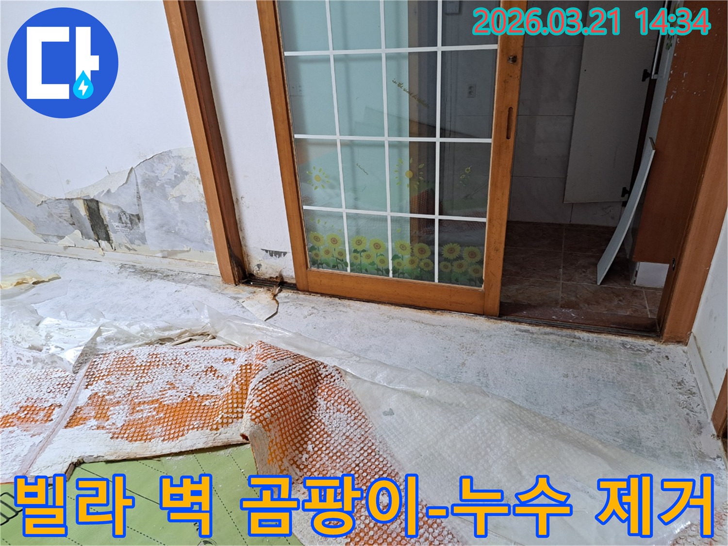 금천구 빌라에서 발생한 누수로-벽지에 곰팡이가 심하게 번식하고-벽지가 훼손된 현장과-누수 제거 및 복구 작업을 위한 준비입니다.