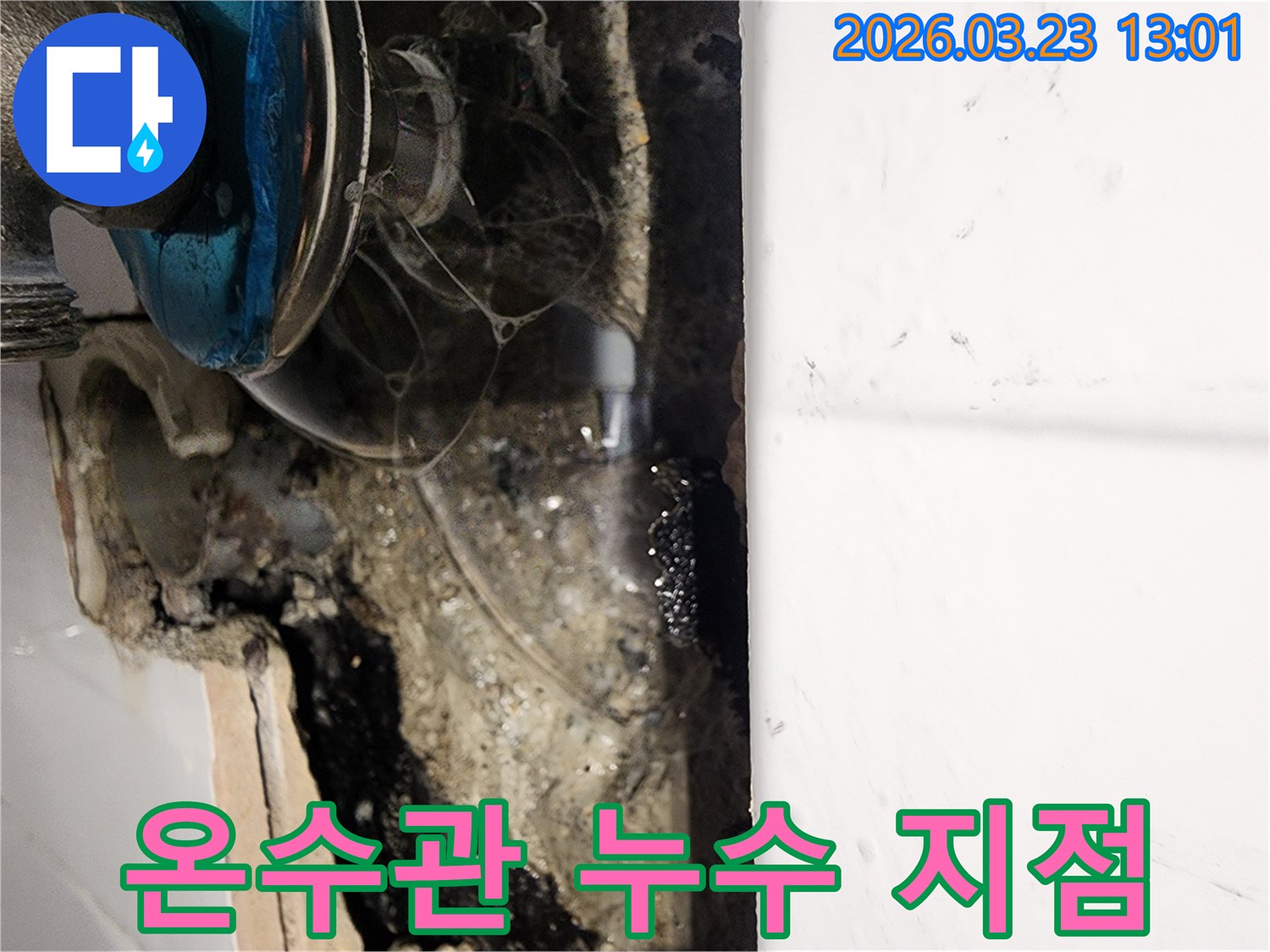 온수관-파열로-인한-누수-현장을-정밀하게-탐지하고-수리-계획을-세우는-모습