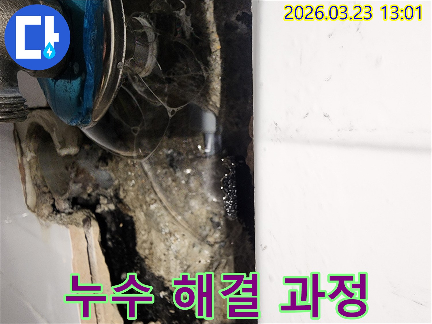최첨단-누수탐지-장비를-활용하여-정확한-누수-지점을-찾아내는-전문가의-모습