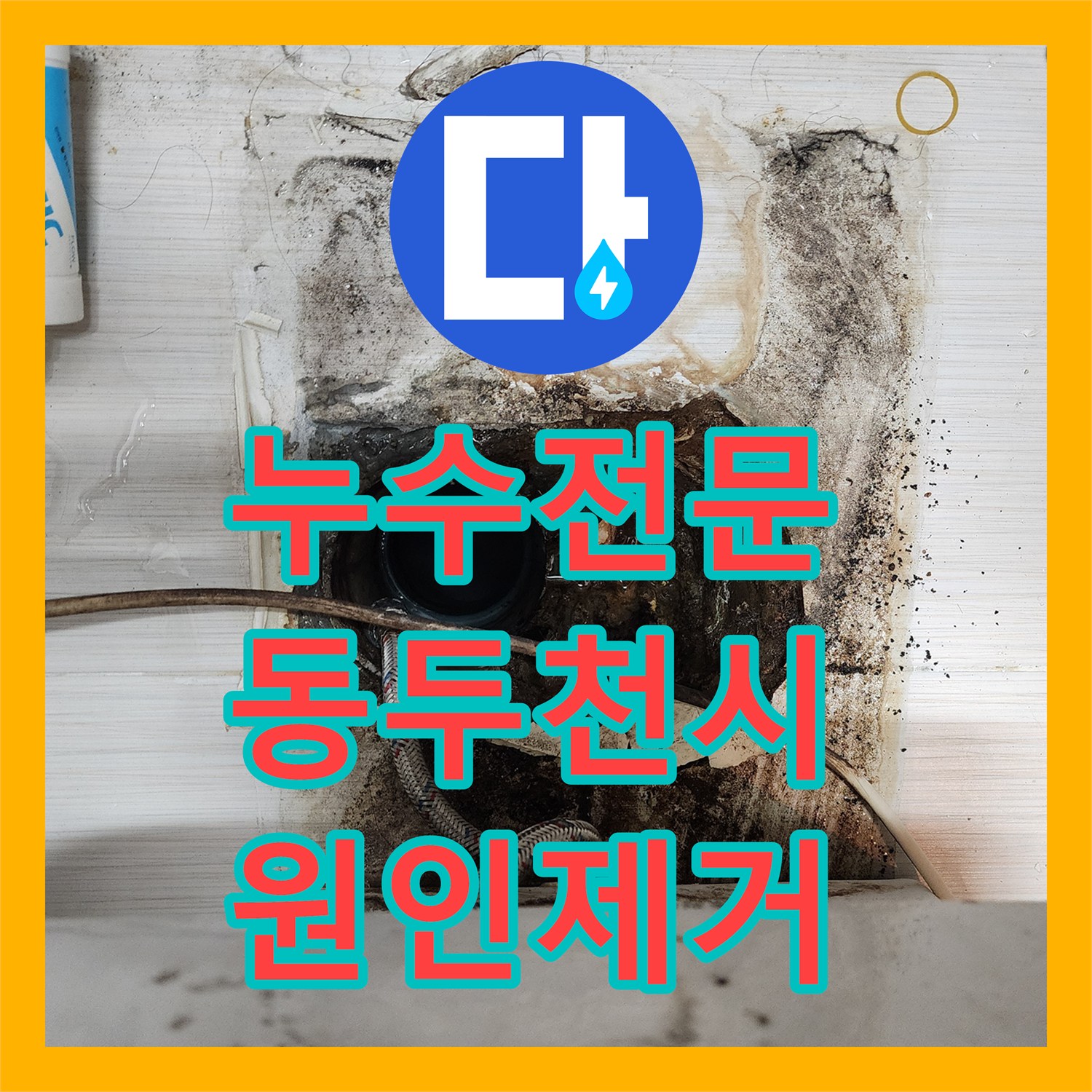 누수전문 오수 배관 결함으로 인한 화장실 천장 누수를 해결한 경기 동두천시 사례