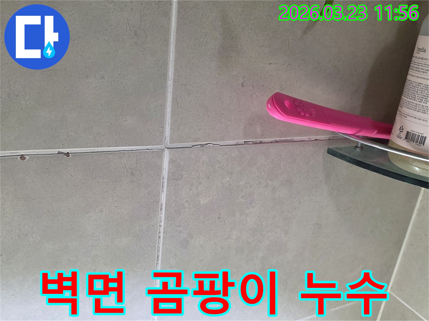 벽 타일-줄눈의-손상으로-인한-누수로-벽면에-곰팡이가-발생한-것으로-의심되는-사진