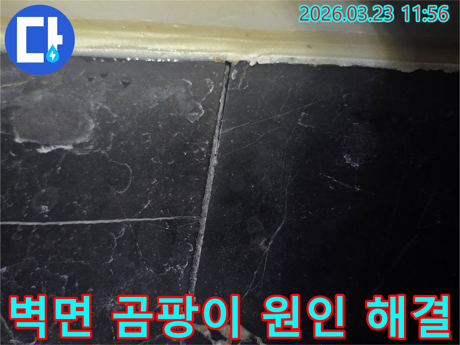 욕실 벽면 타일의-줄눈과 실리콘 마감 부위에서-물이 스며들어 생긴-누수 흔적과 함께-곰팡이 발생이 우려됩니다.