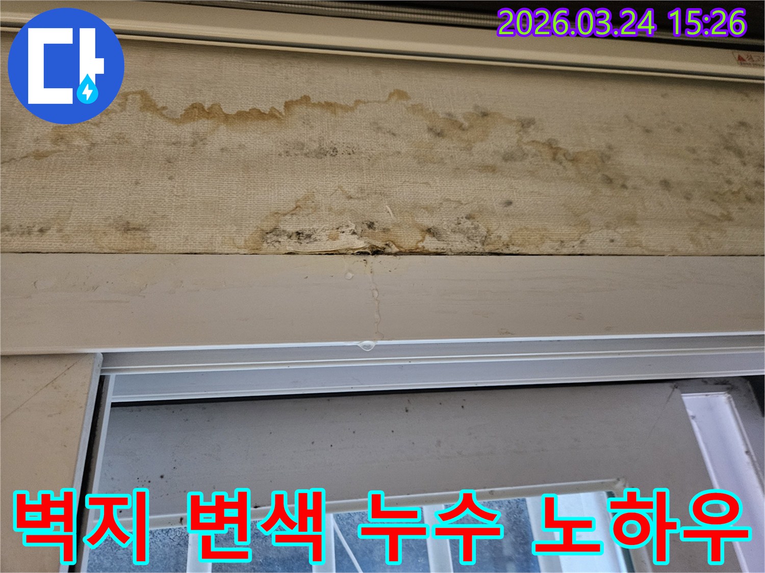주택 벽지가 누수로 인해 변색되고 곰팡이가 발생한 현장에서 누수 탐지 전문가의 노하우가 필요한 모습