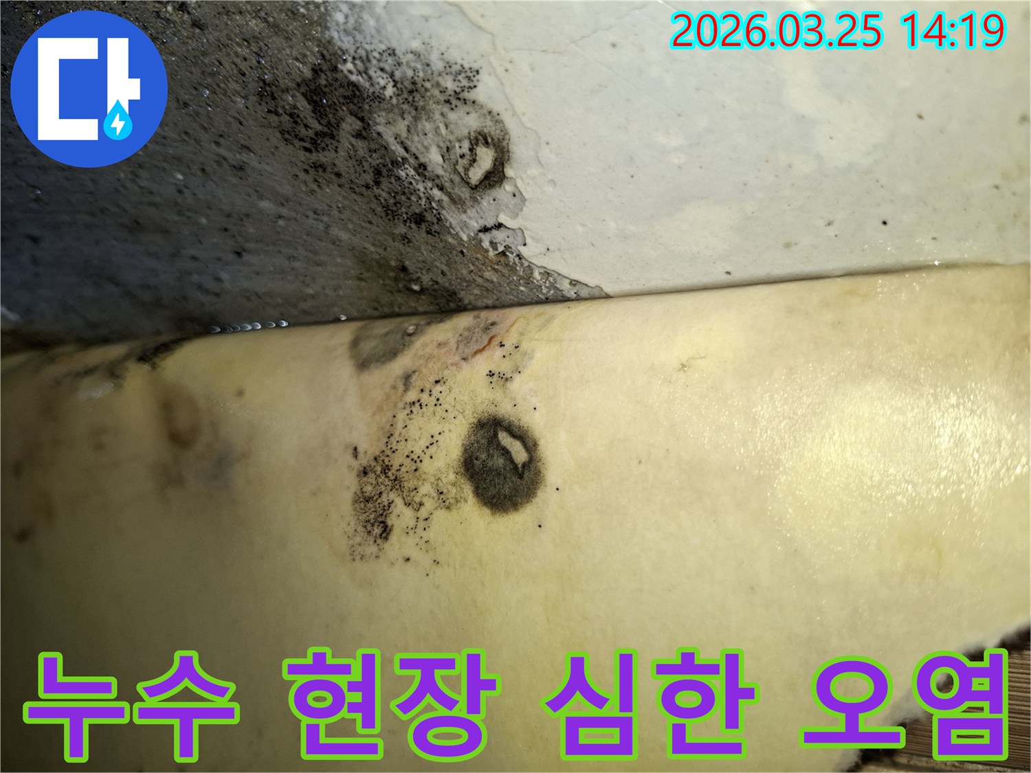 벽과 천장 사이-누수로 인한 곰팡이와 변색이 심각한 상태를 보여주는 사진입니다.