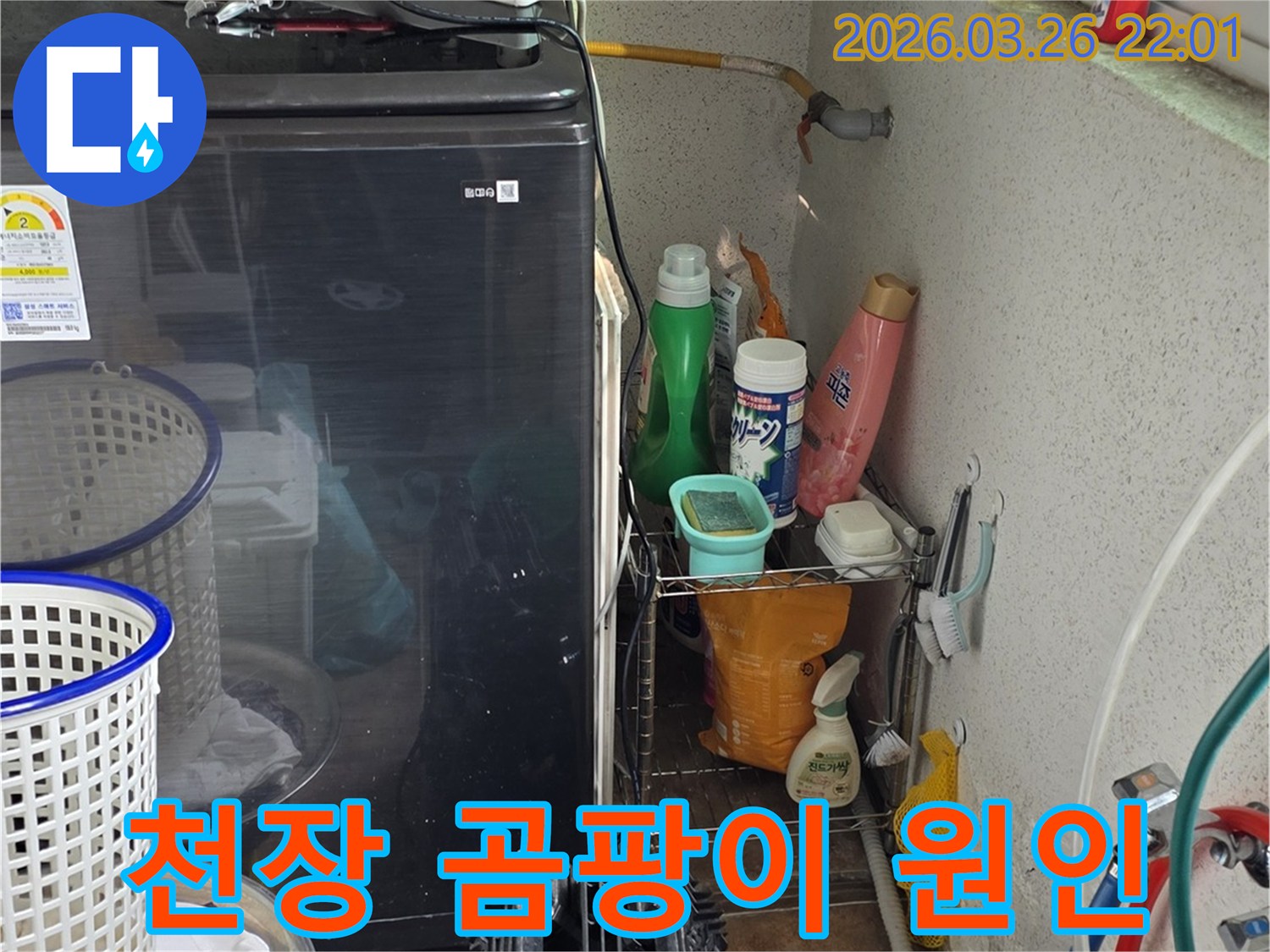 세탁실-천장에-발생한-곰팡이와-주변-배관을-점검하며-누수-원인을-찾아내는-모습입니다