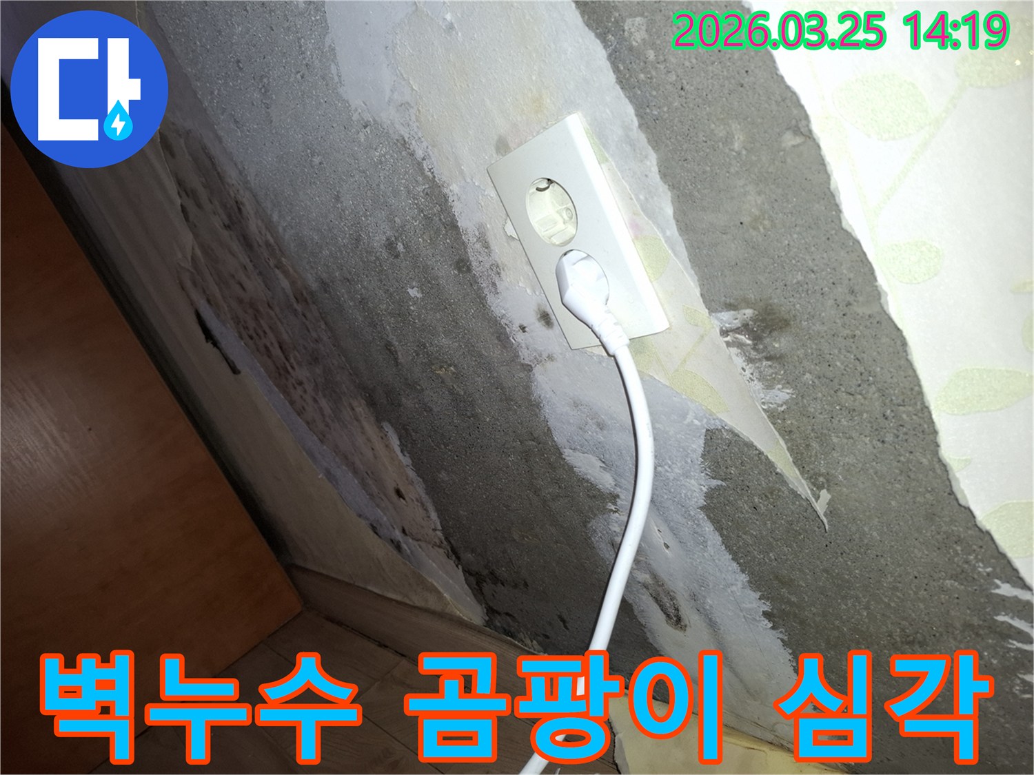 젖은-벽과-콘센트-주변에-심하게-번진-곰팡이-흔적을-보여주는-누수-현장-사진