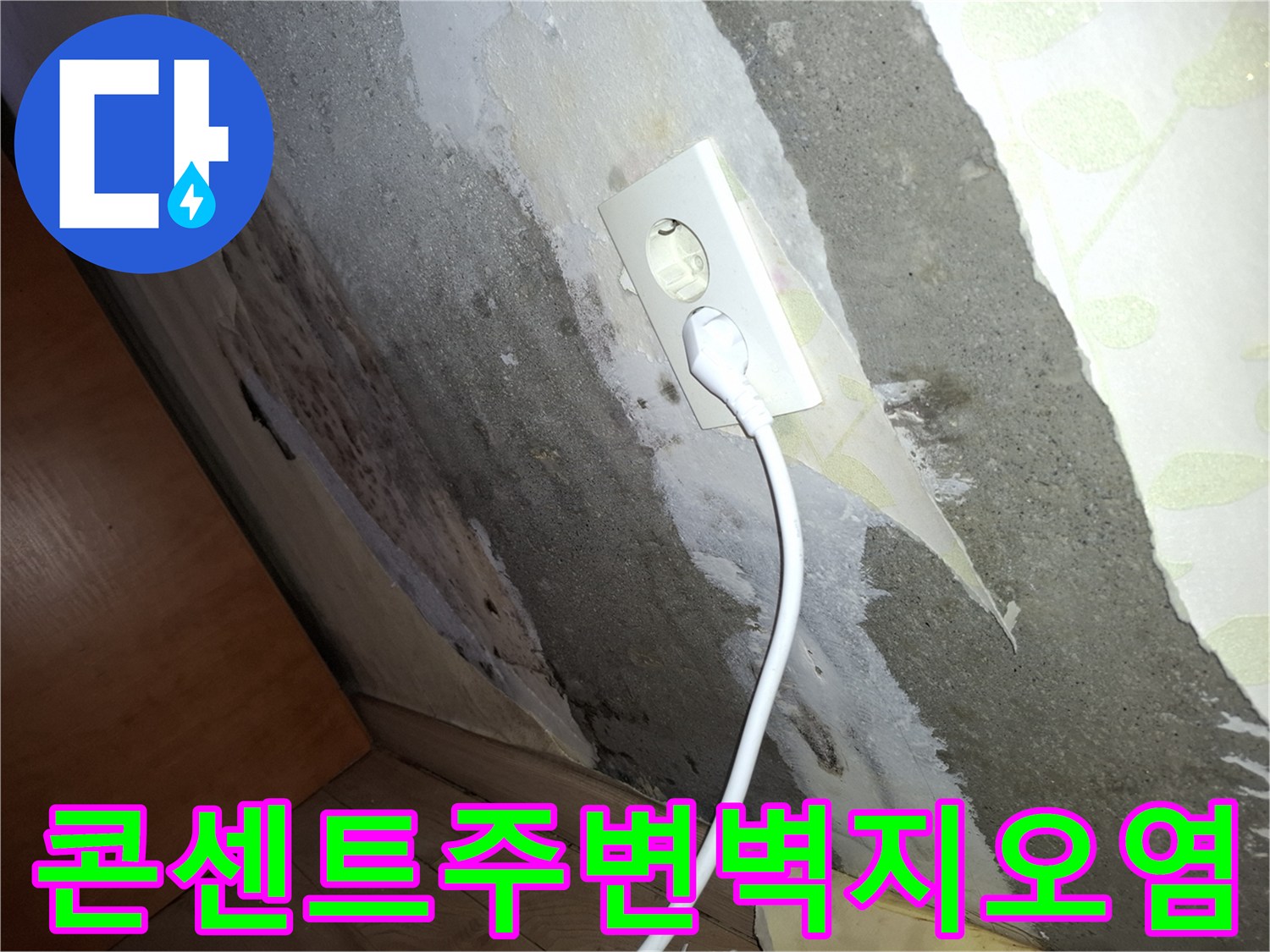 콘센트 주변 벽면의 젖은 얼룩과 곰팡이 상태