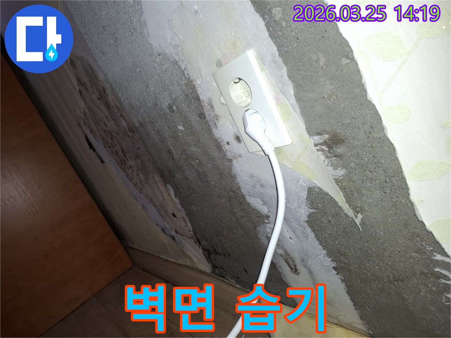 콘크리트-벽에-물이-스며들어-콘센트-주변까지-젖고-곰팡이가-번식한-누수-진단-이미지