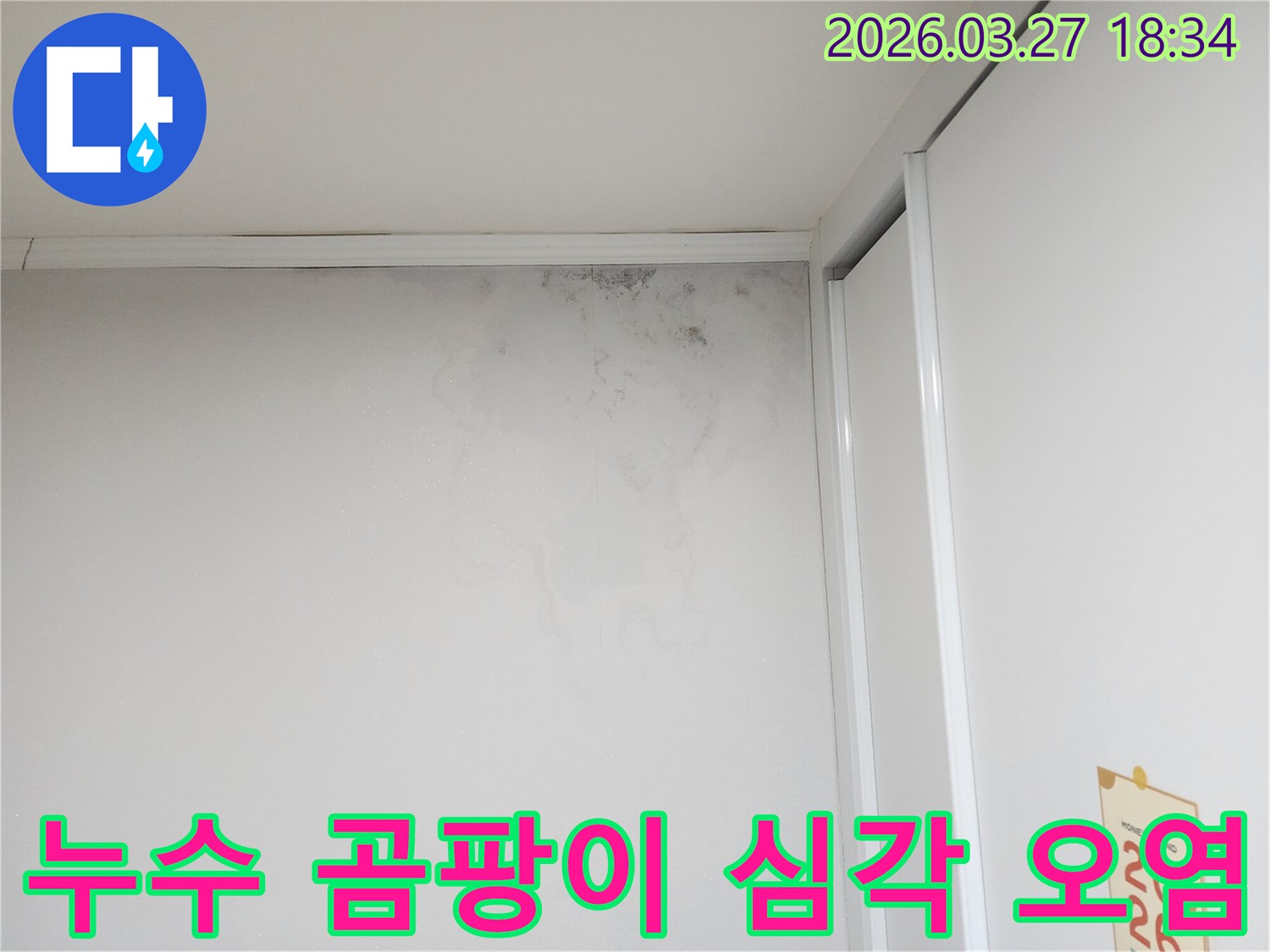 주택-내부-벽에-생긴-누수-얼룩과-곰팡이-문제-확인-사진입니다