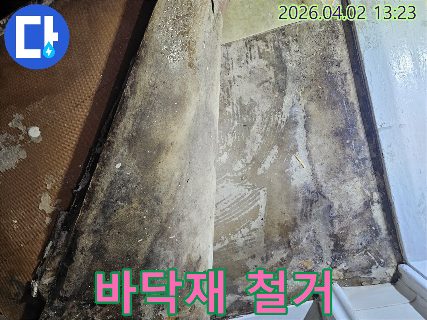 습기로 인해-부식되고 곰팡이 핀 바닥재를-조심스럽게 제거하고 있습니다