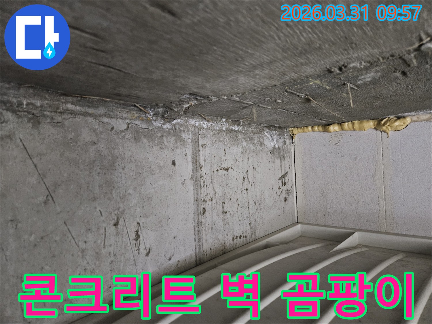 건물 내부의-지속적인-물샘으로-발생한-벽면의-곰팡이와-오염을-확인하는-모습입니다