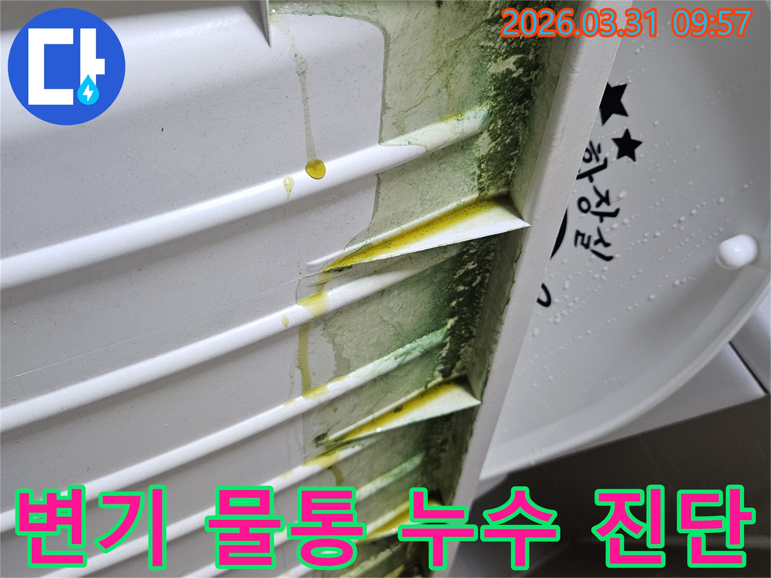 변기-물통-내부-벽면에-초록색-녹조와-노란-침전물이-누수로-인해-생성된-모습입니다