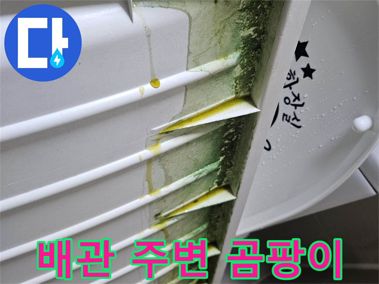천장-마감재-틈새에-발생한-누수-흔적과-곰팡이
