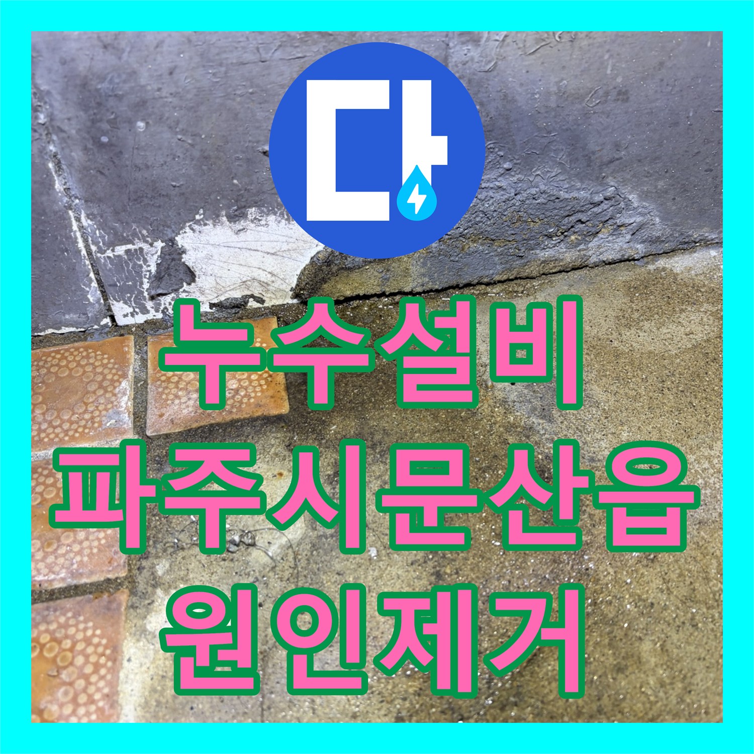누수설비 화장실 바닥에서 외부로 흐르는 물샘 현상 배관 교체 경기 파주시 문산읍