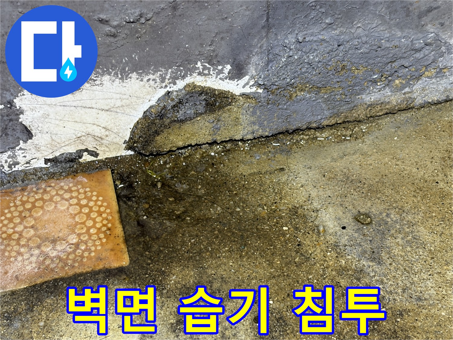 습기가-침투하여-벗겨진-화장실-벽면-마감재