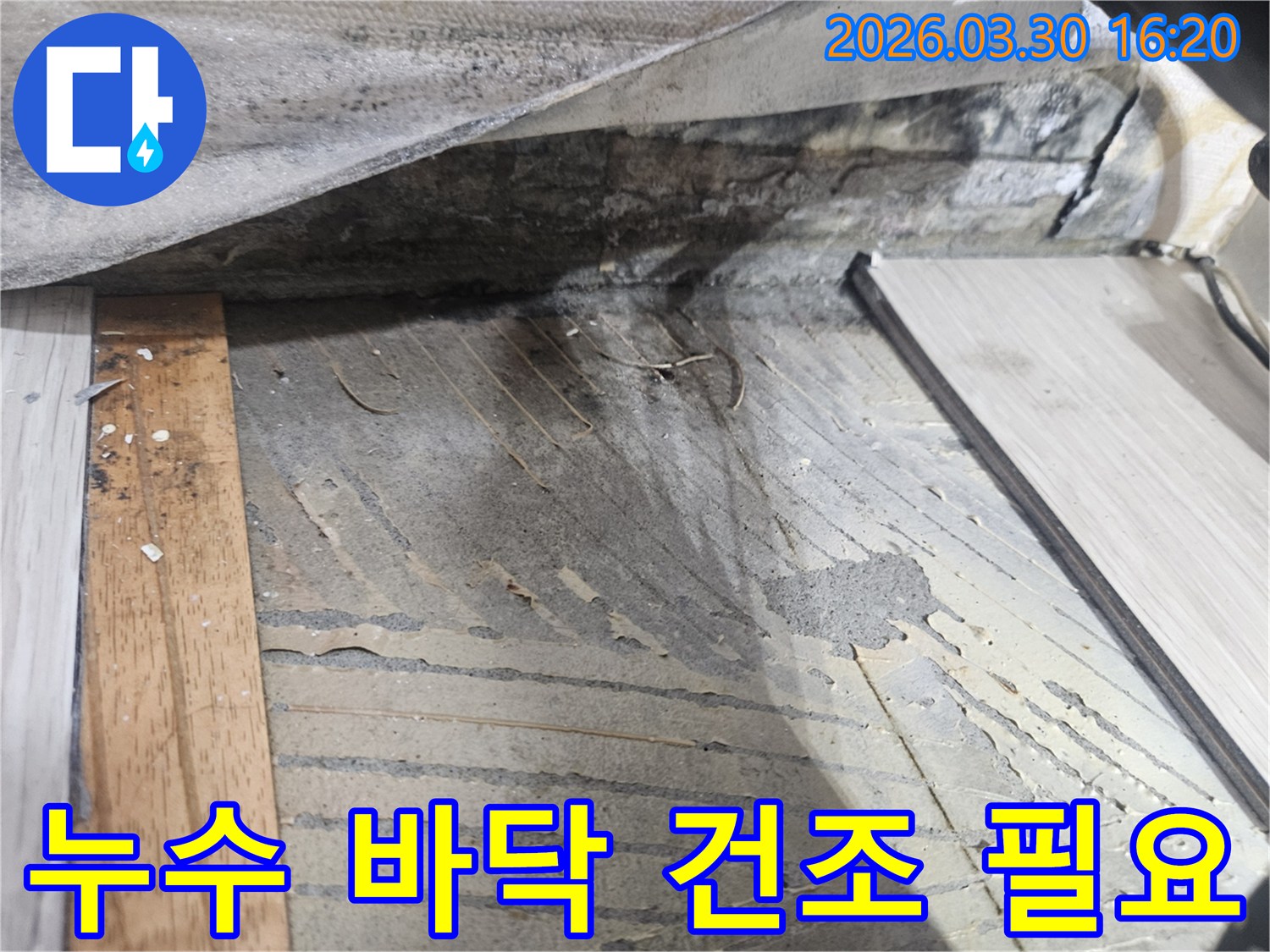 누수-탐지-작업-중-바닥-마감재를-제거하고-발견된-젖은-콘크리트-표면의-상태