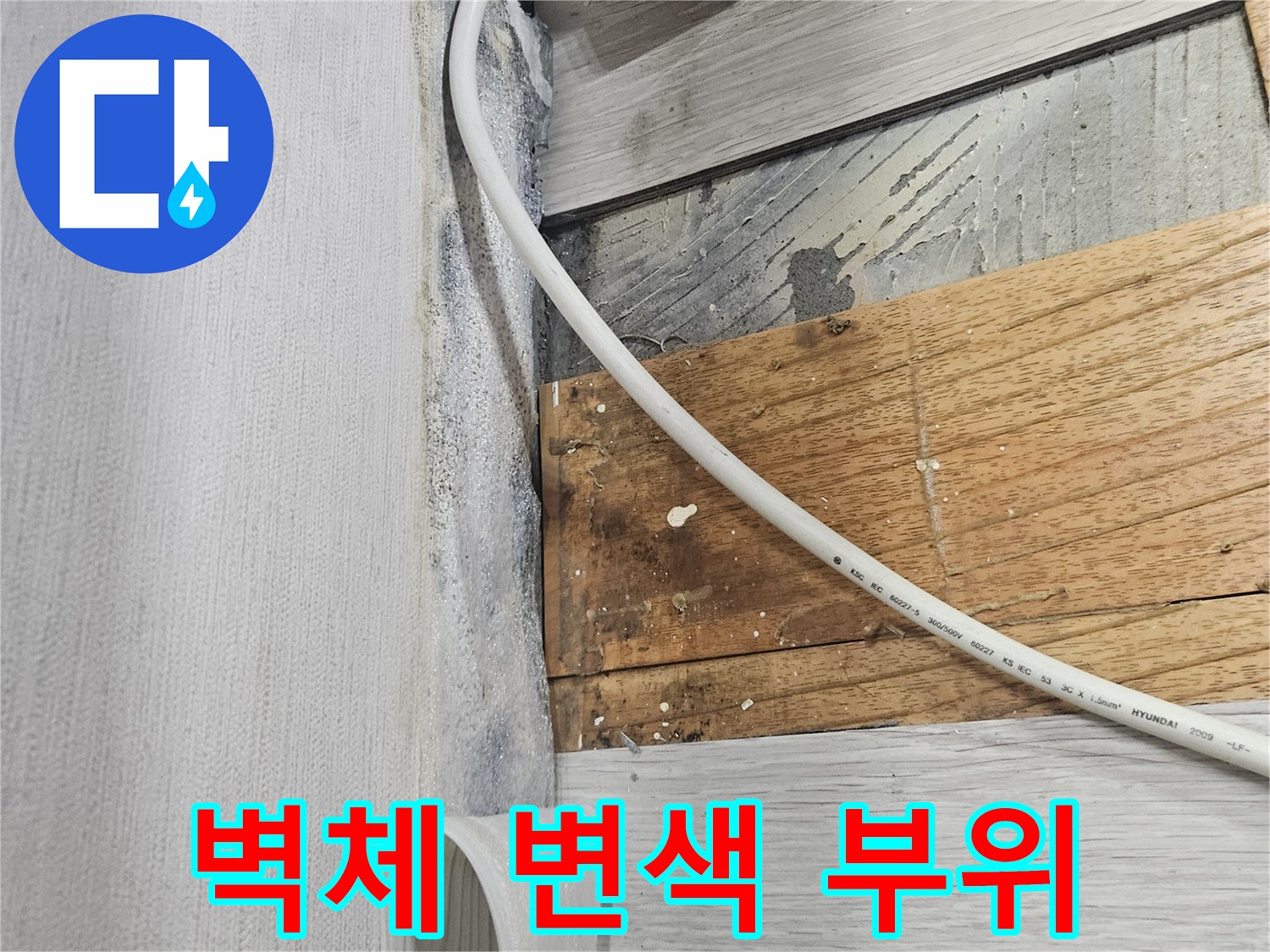 콘센트 주변으로 번진 벽체 곰팡이와 습기 흔적