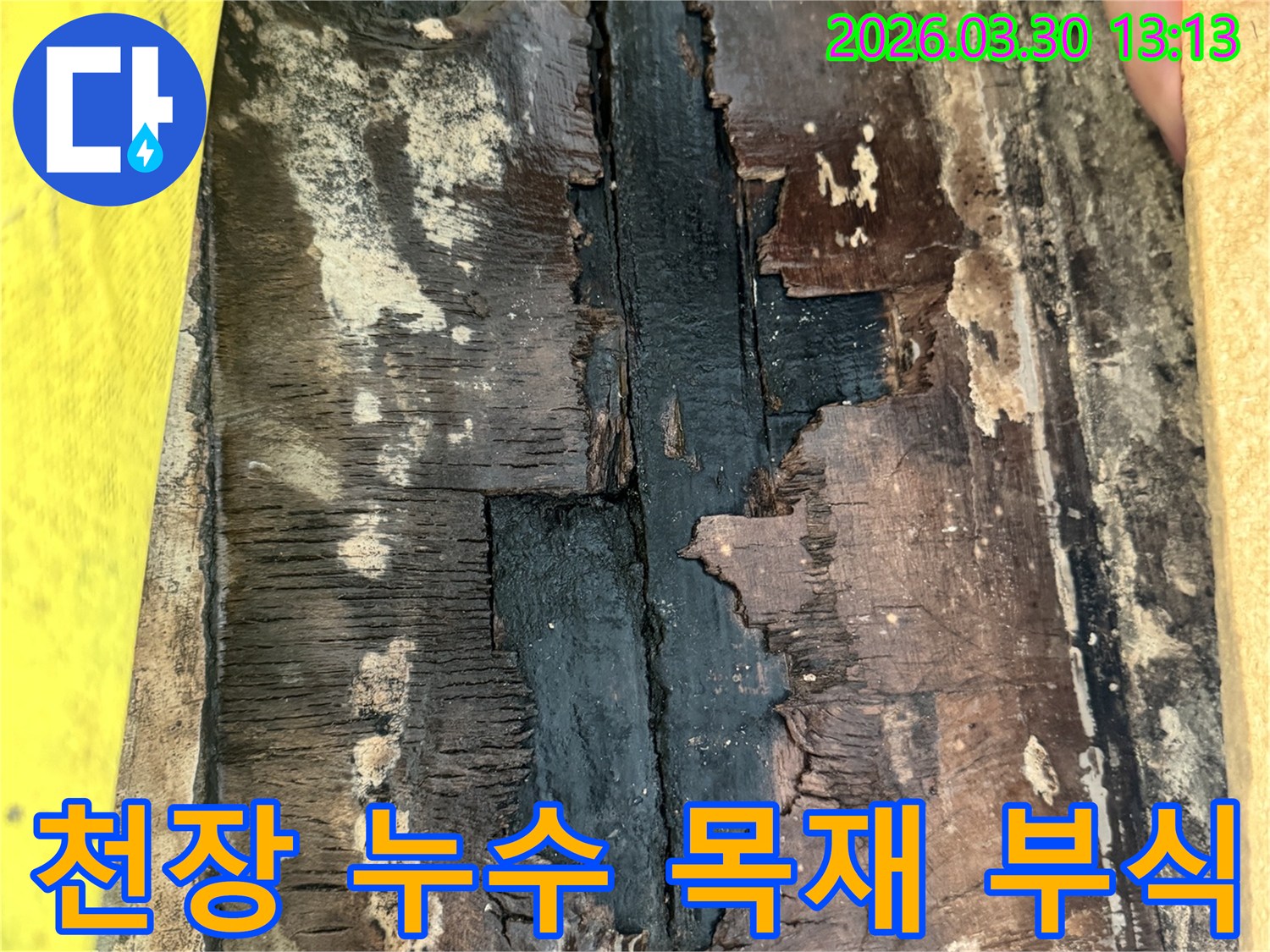 천장 누수로 인해-목재가 물에 젖어-검게 변색되고-부식된 심각한 손상 상태