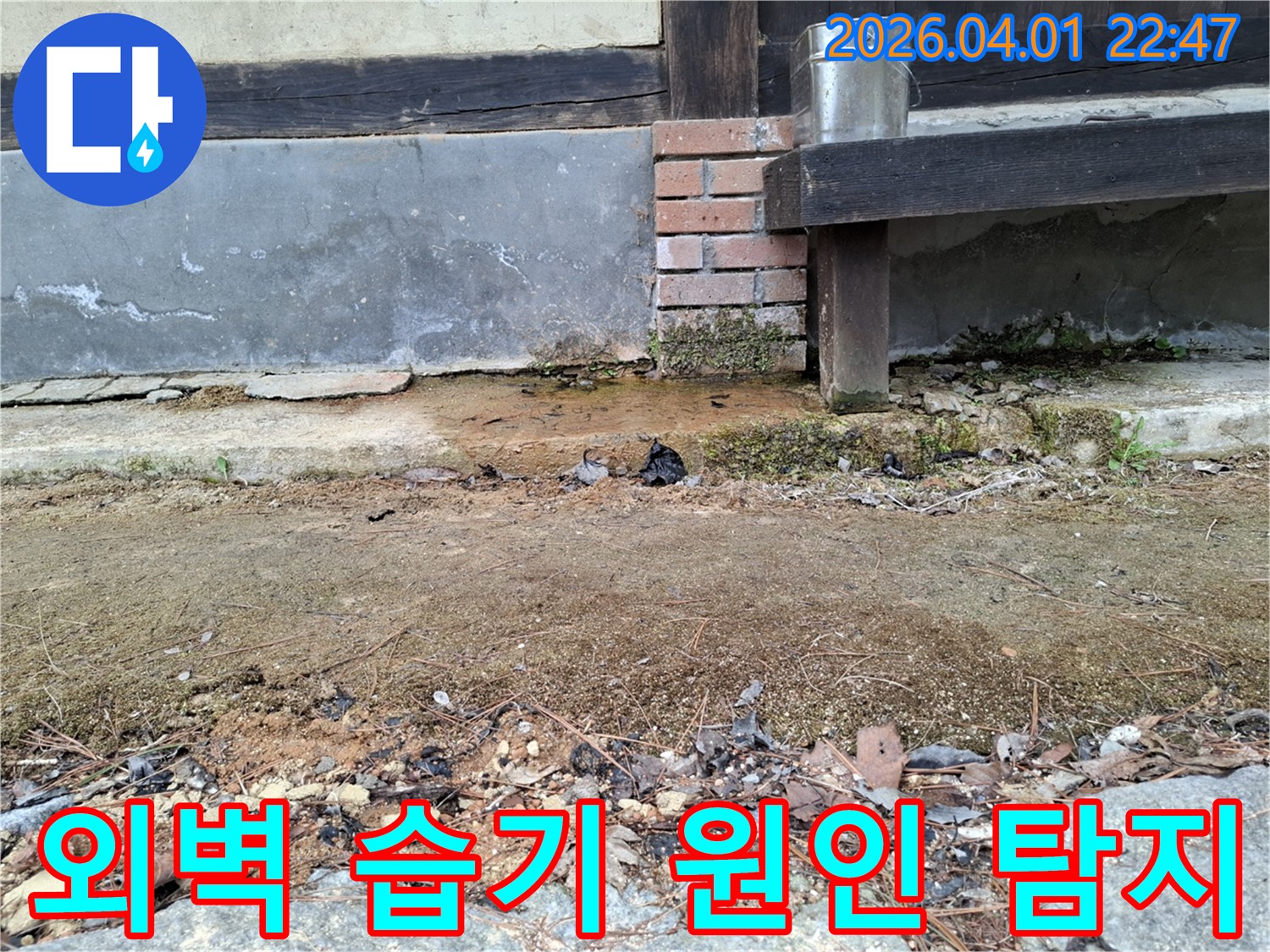 주택 외벽의-습기 문제로-인해-벽면과-주변 흙이-젖어있는-상황을-보여주며-정밀 탐지가-필요한-사진
