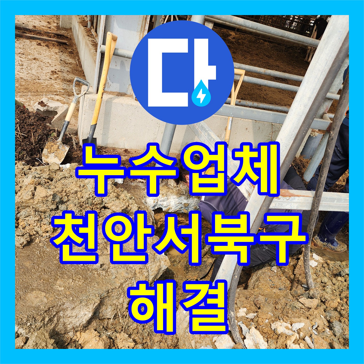 누수업체 바닥면 물샘 증상으로 인한 매립 배관 절단 및 연장 교체한 천안시 서북구 성환읍 현장