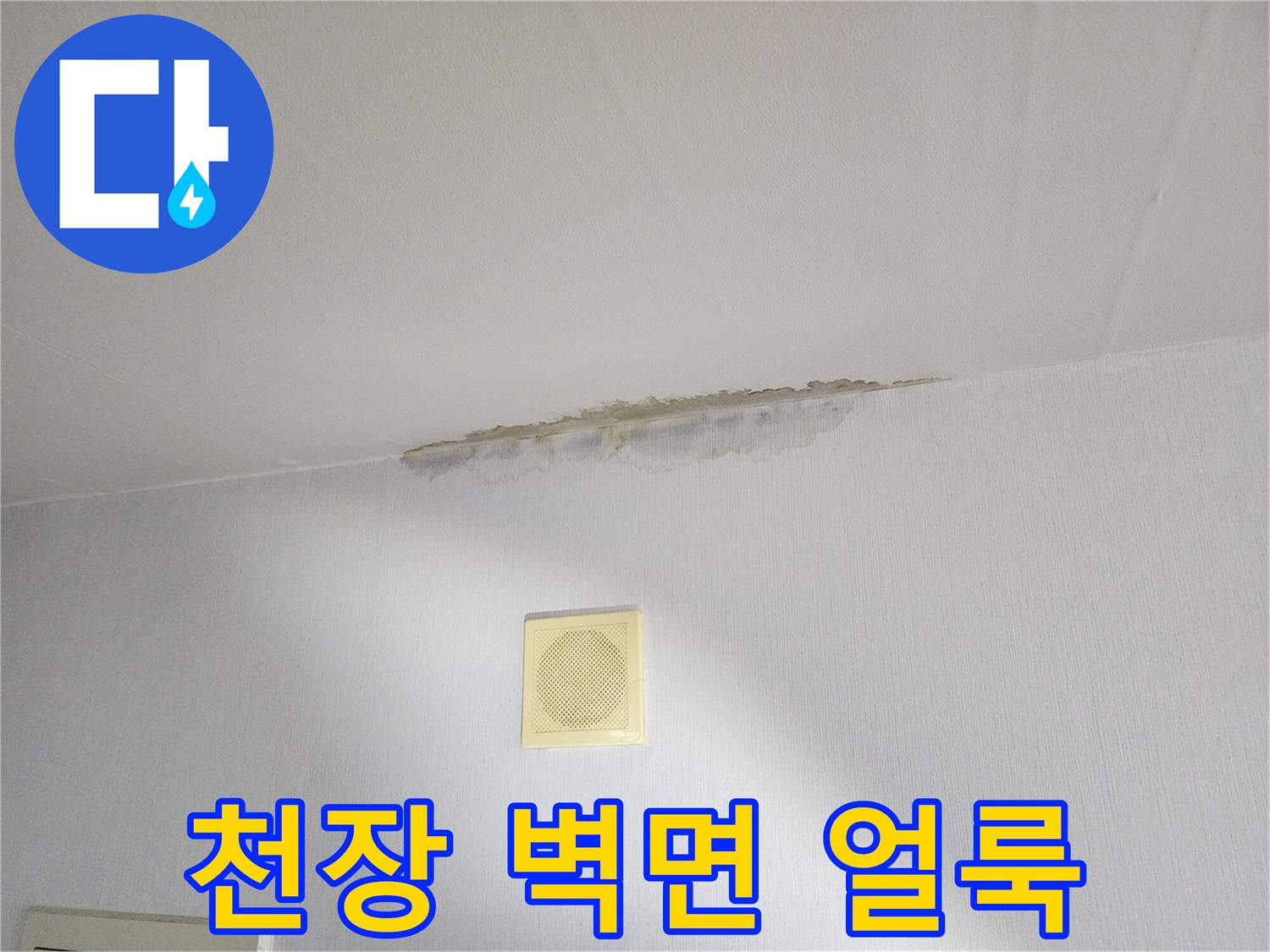 벽지와 천장이 만나는 경계면에 발생한 물자국과 습기 흔적